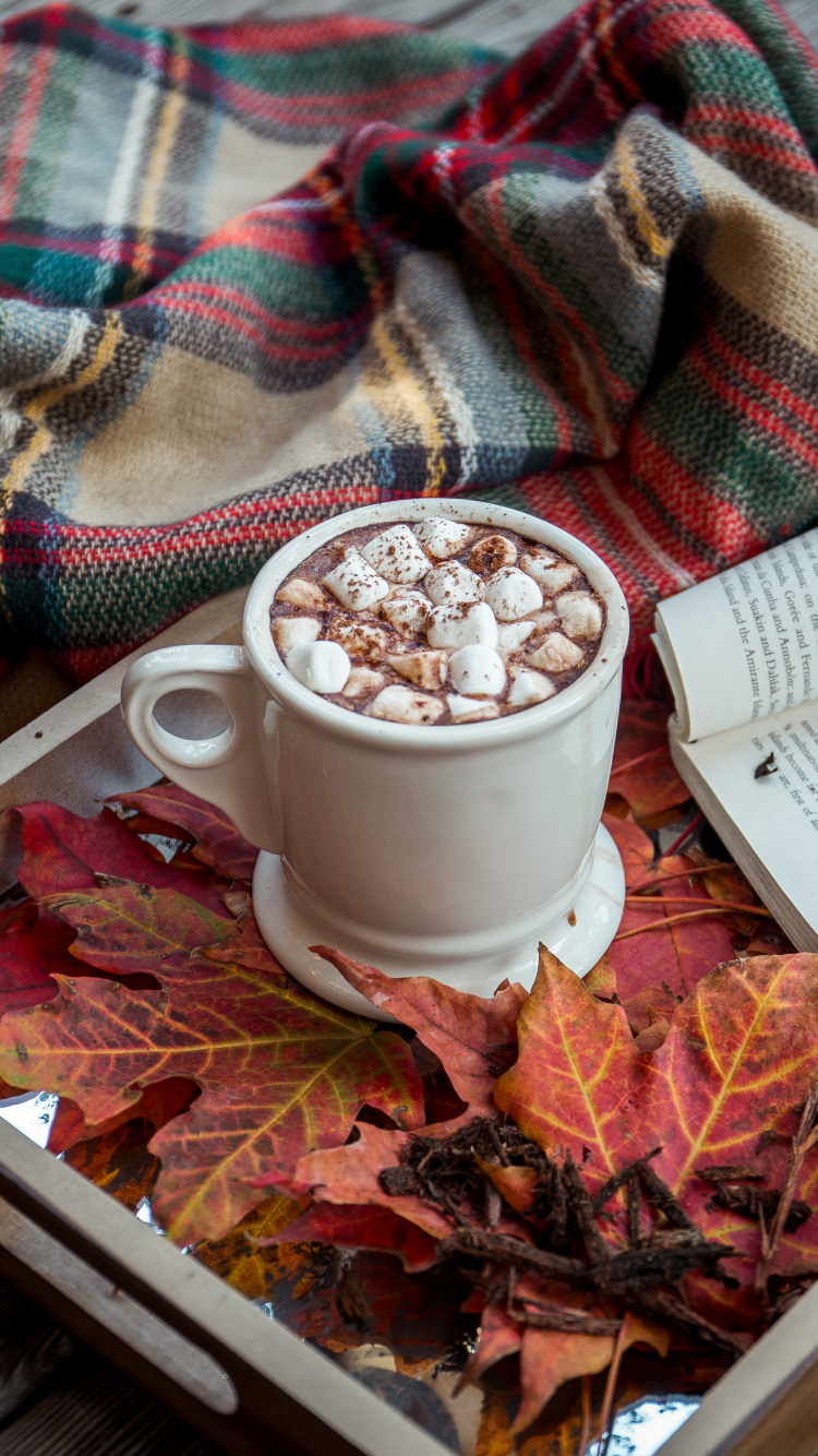 Обои книга, осень, пища, ткань, ароматическая смесь в разрешении 750x1334