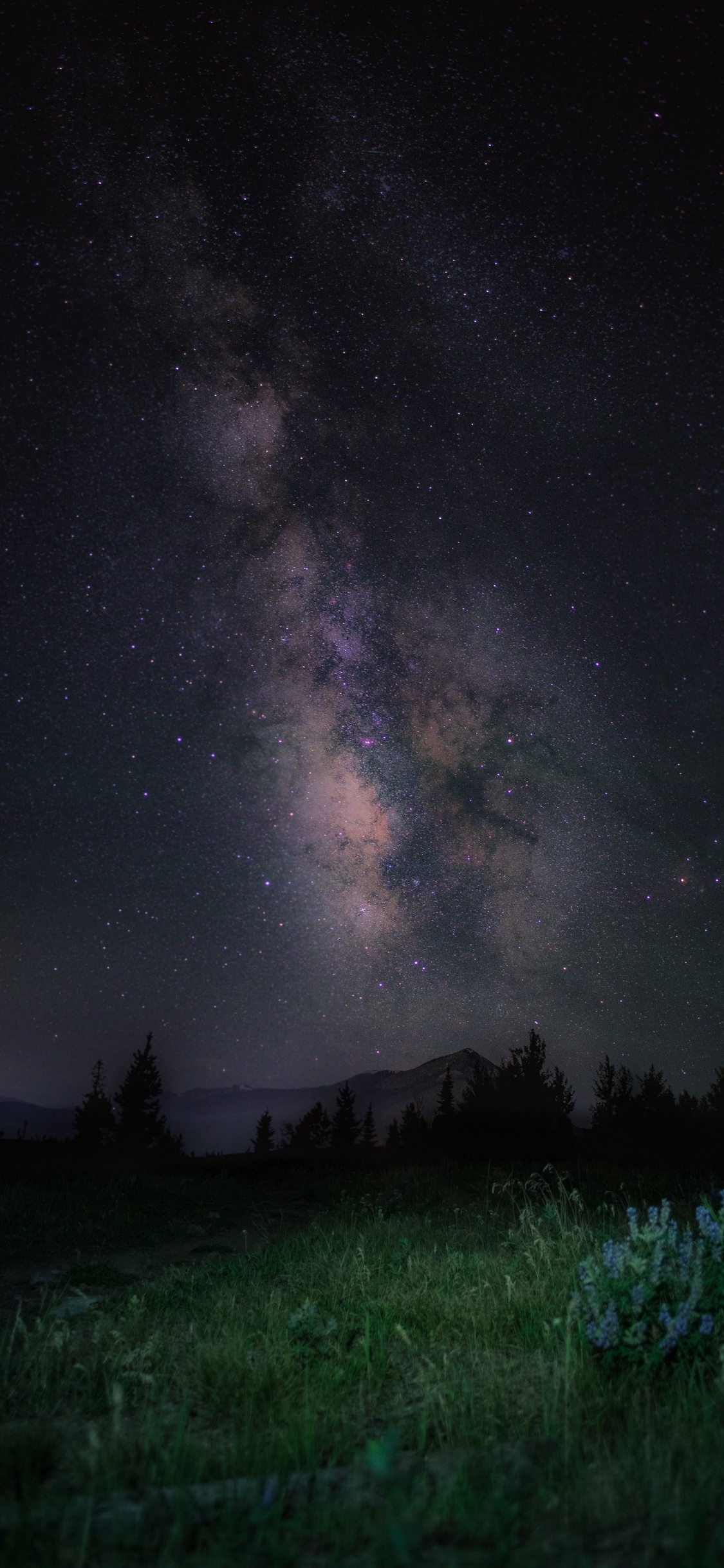 Обои apple, iPhone, iPhone X, яблоко, ios в разрешении 1125x2436