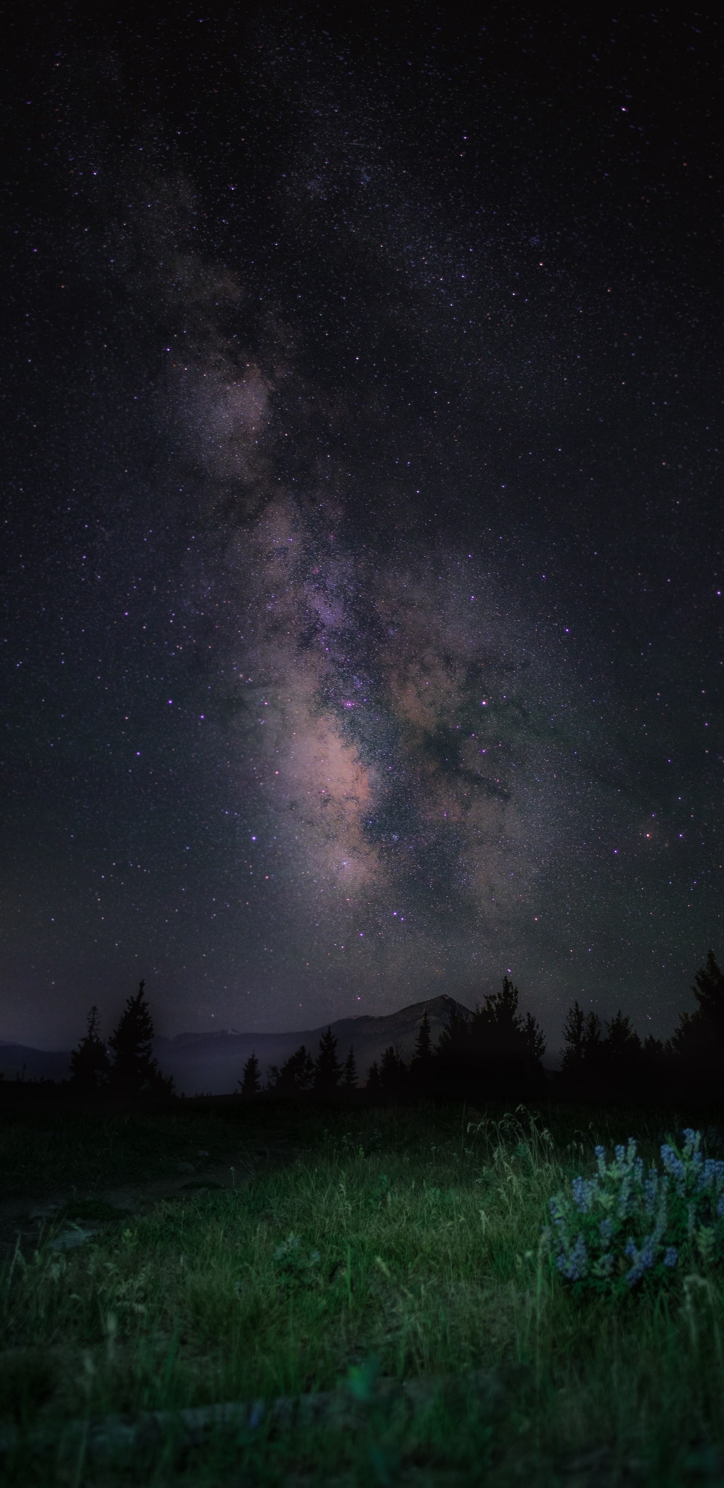 Обои apple, iPhone, iPhone X, яблоко, ios в разрешении 1440x2960