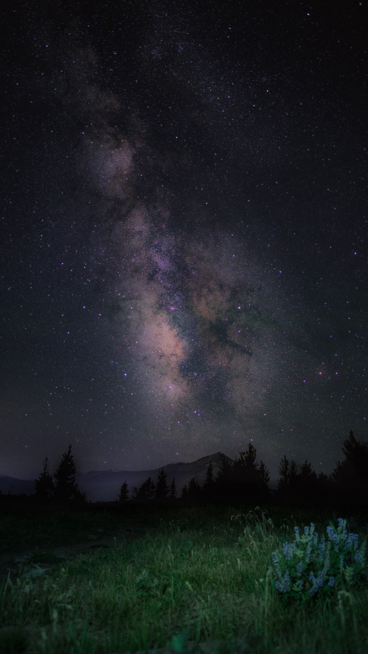 Обои apple, iPhone, iPhone X, яблоко, ios в разрешении 750x1334