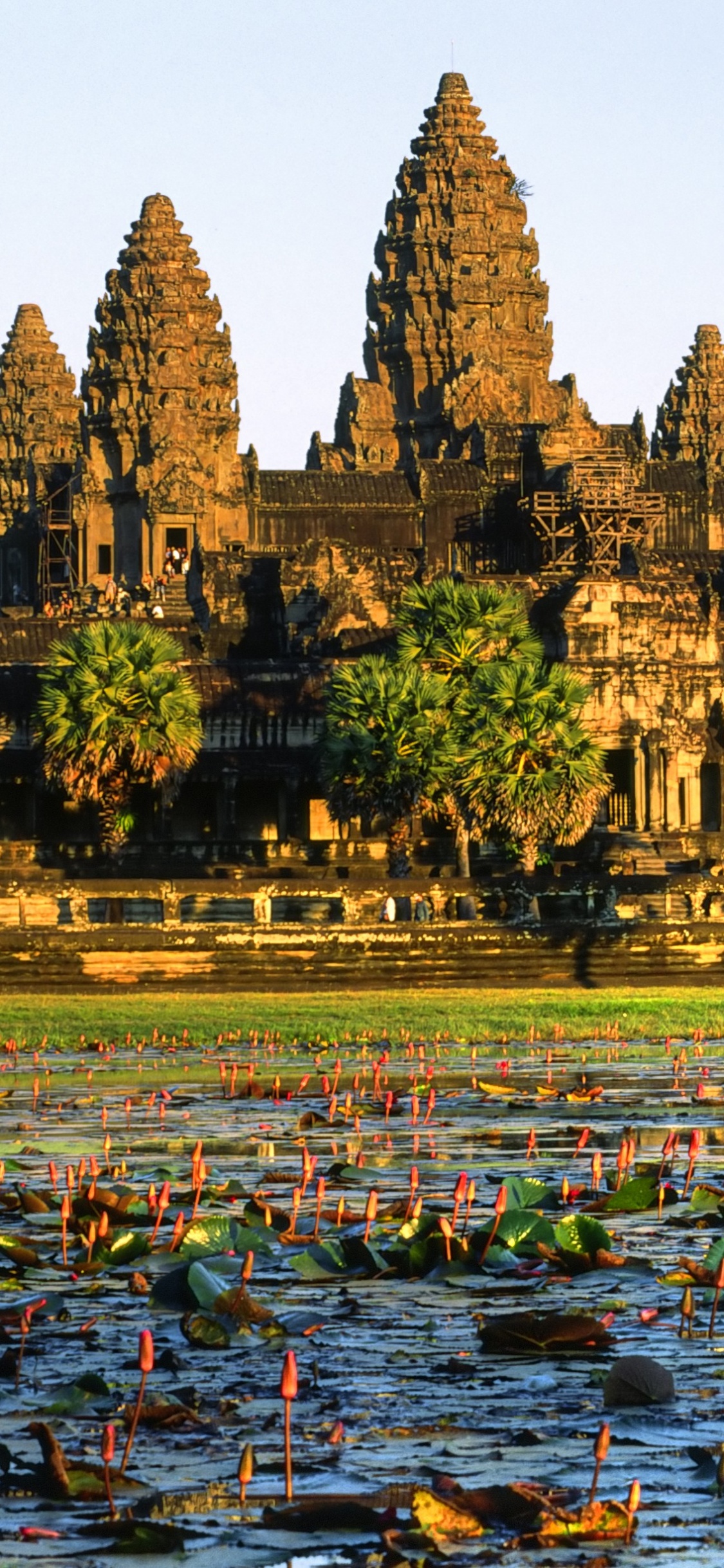Обои Ангкор ВАТ, храм, отражение, историческое место, уот в разрешении 1125x2436