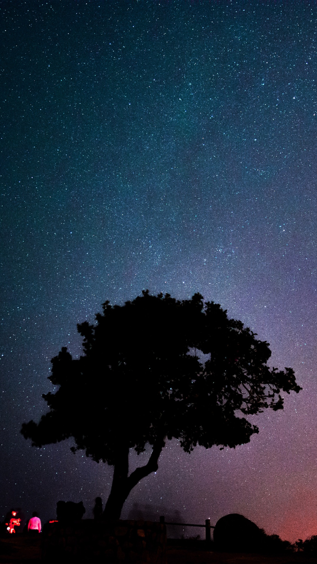 Обои закат, атмосфера, мир, свет, зеленый в разрешении 1080x1920