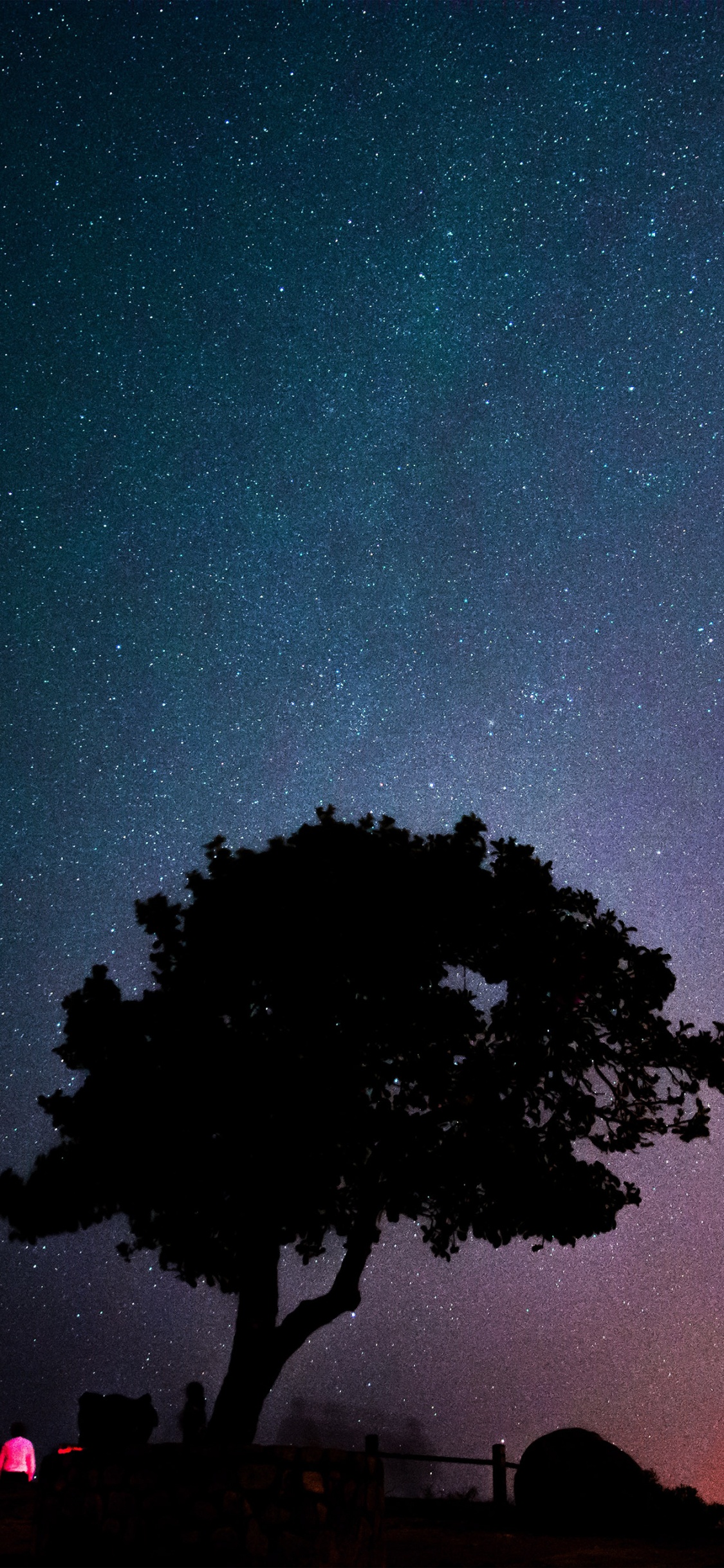 Обои закат, атмосфера, мир, свет, зеленый в разрешении 1125x2436