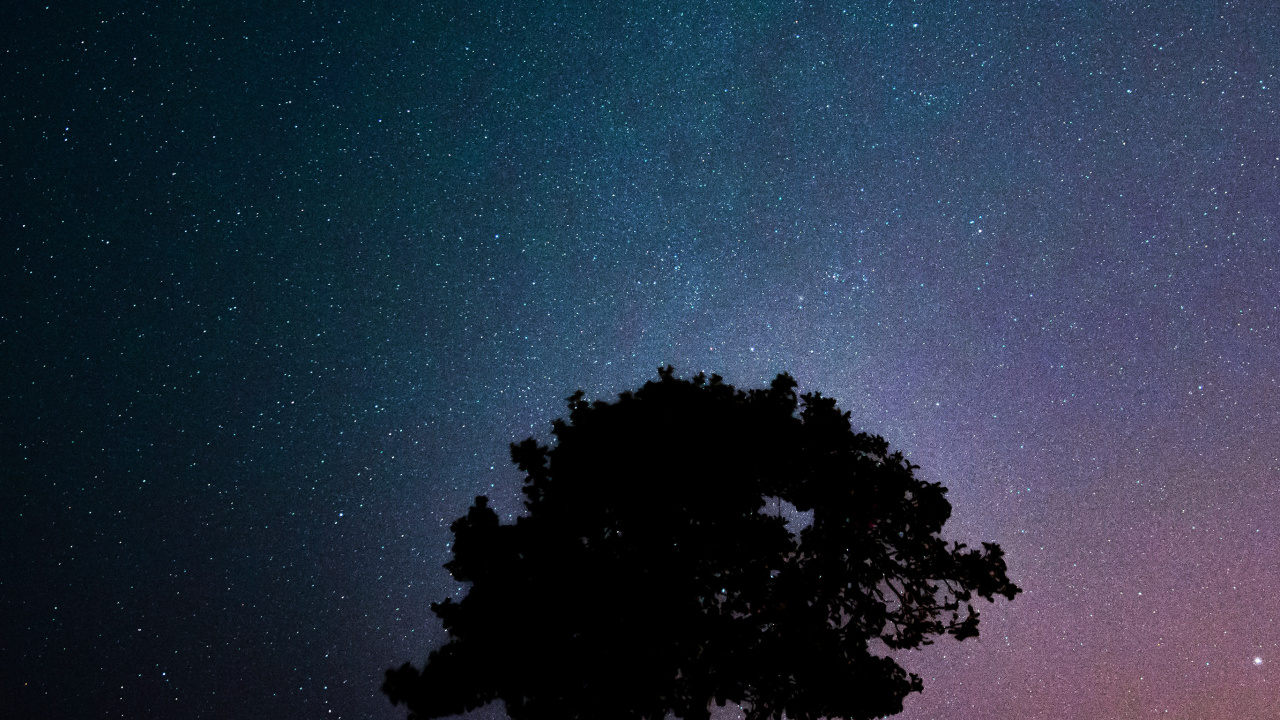 Обои закат, атмосфера, мир, свет, зеленый в разрешении 1280x720