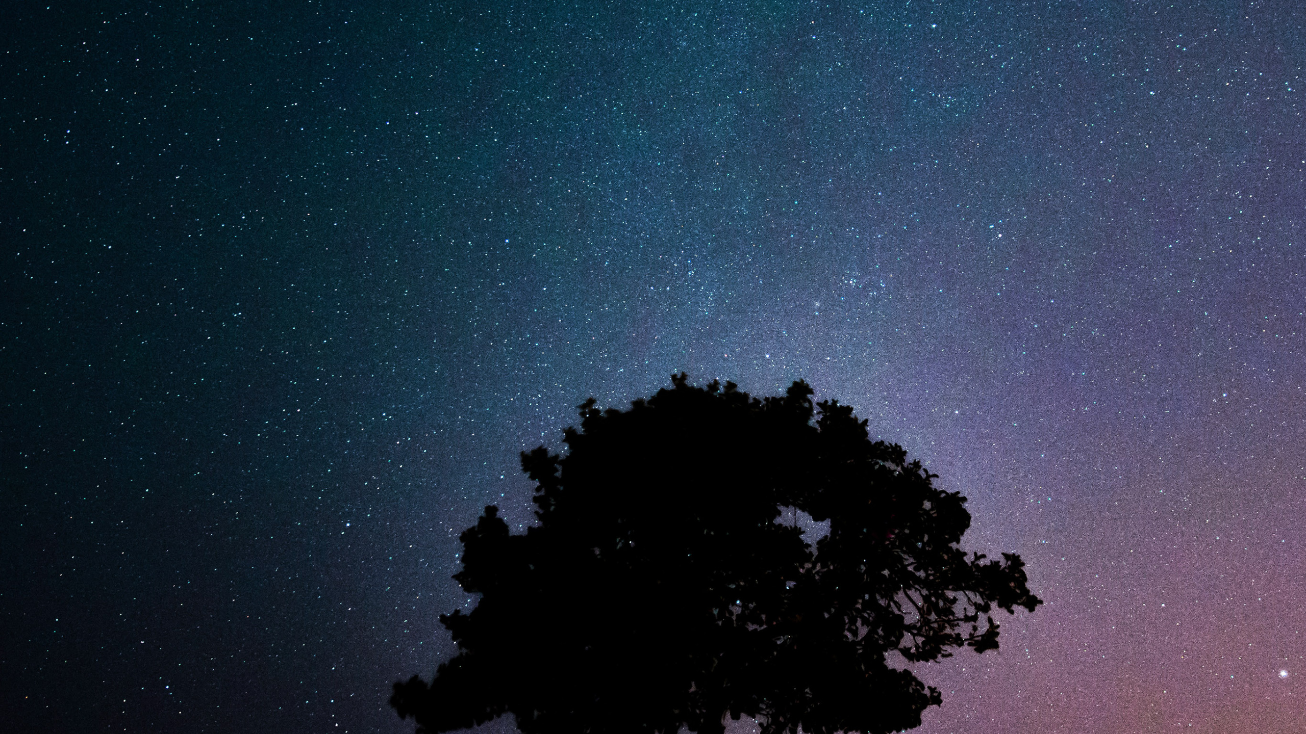 Обои закат, атмосфера, мир, свет, зеленый в разрешении 2560x1440