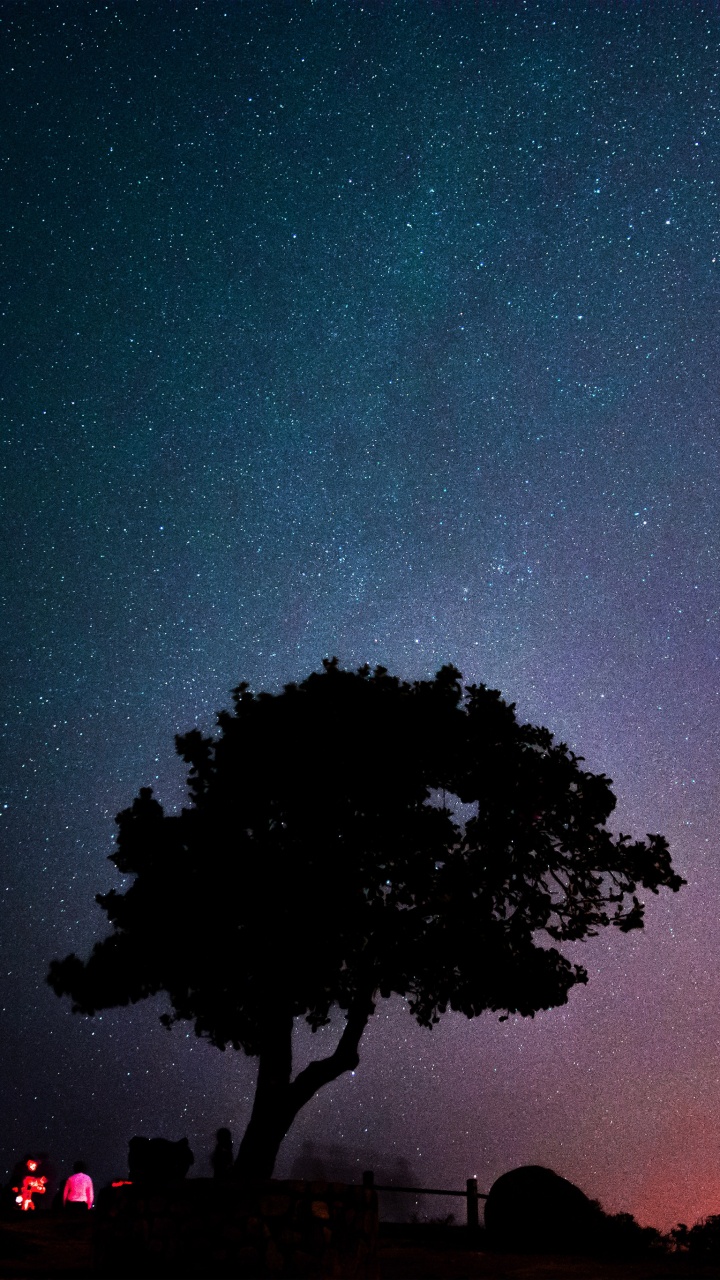 Обои закат, атмосфера, мир, свет, зеленый в разрешении 720x1280