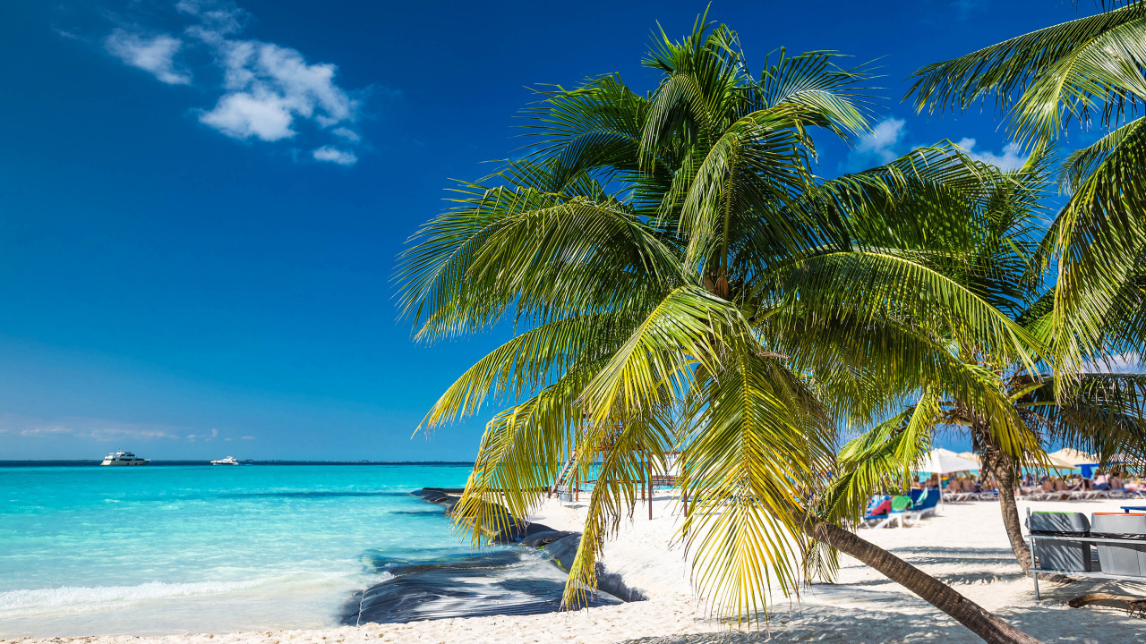 Обои пляж, путешествие, прибежище, берег, дерево в разрешении 1280x720