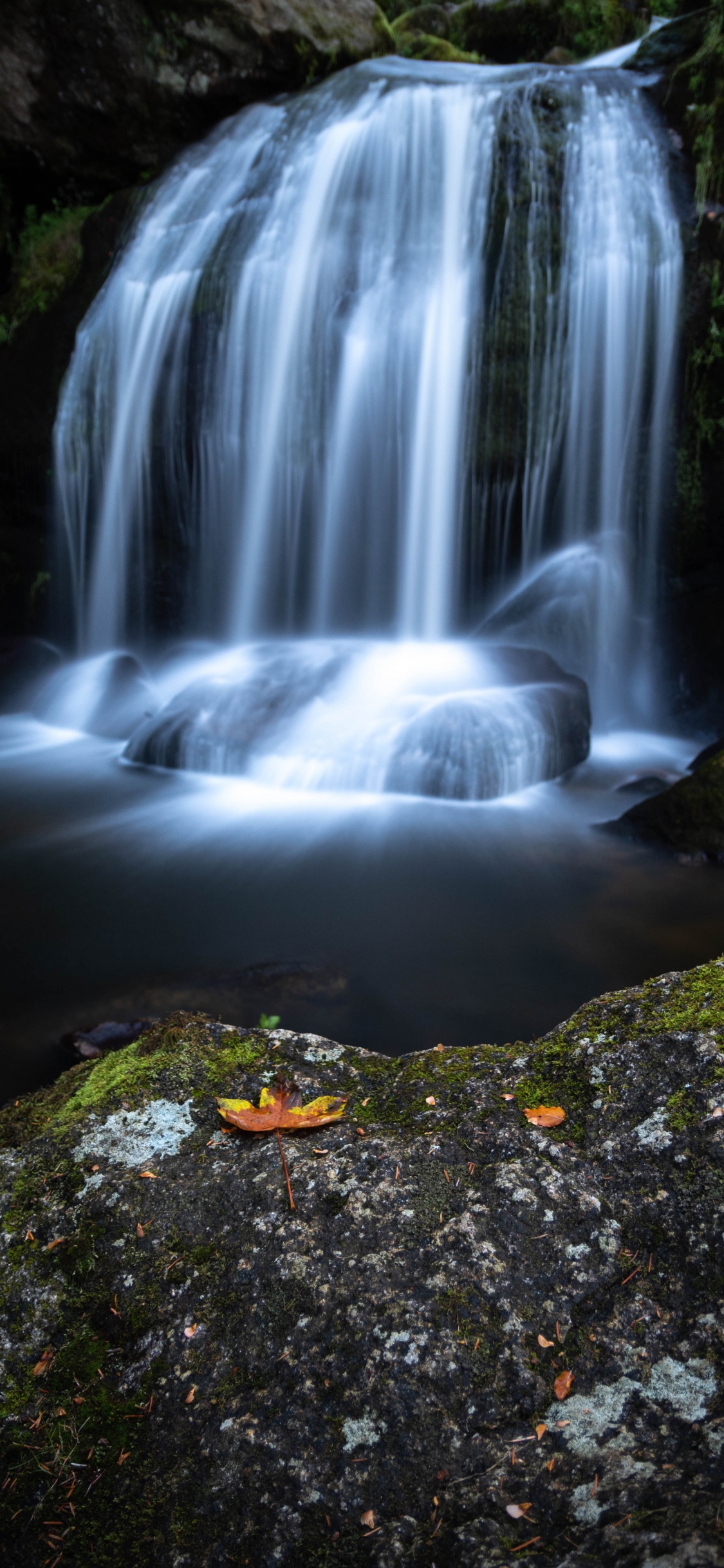 Обои водопад, водоем, гидроресурсы, природный ландшафт, природа в разрешении 1125x2436