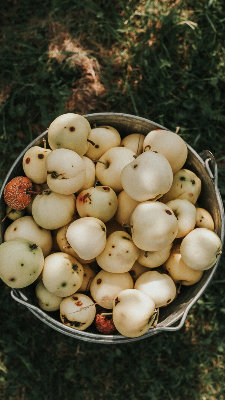 Обои apple, растение, пища, фрукты, продукция в разрешении 750x1334