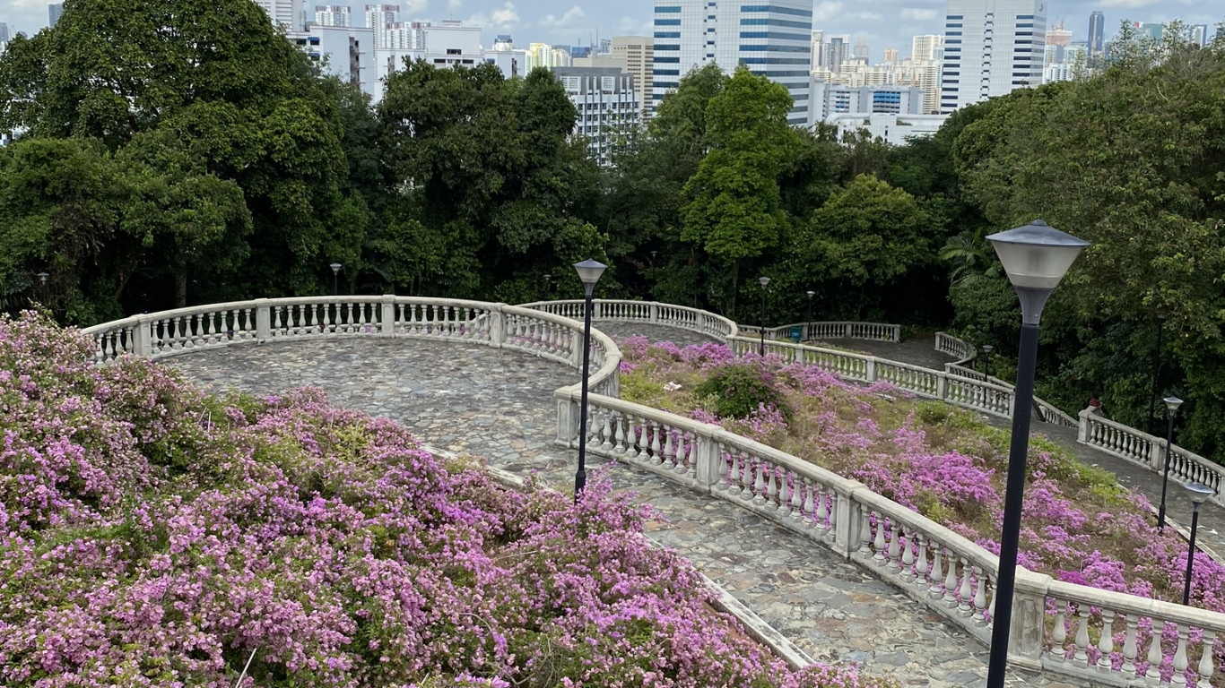 Обои цветок, водоем, природа, растительность, лепесток в разрешении 1366x768