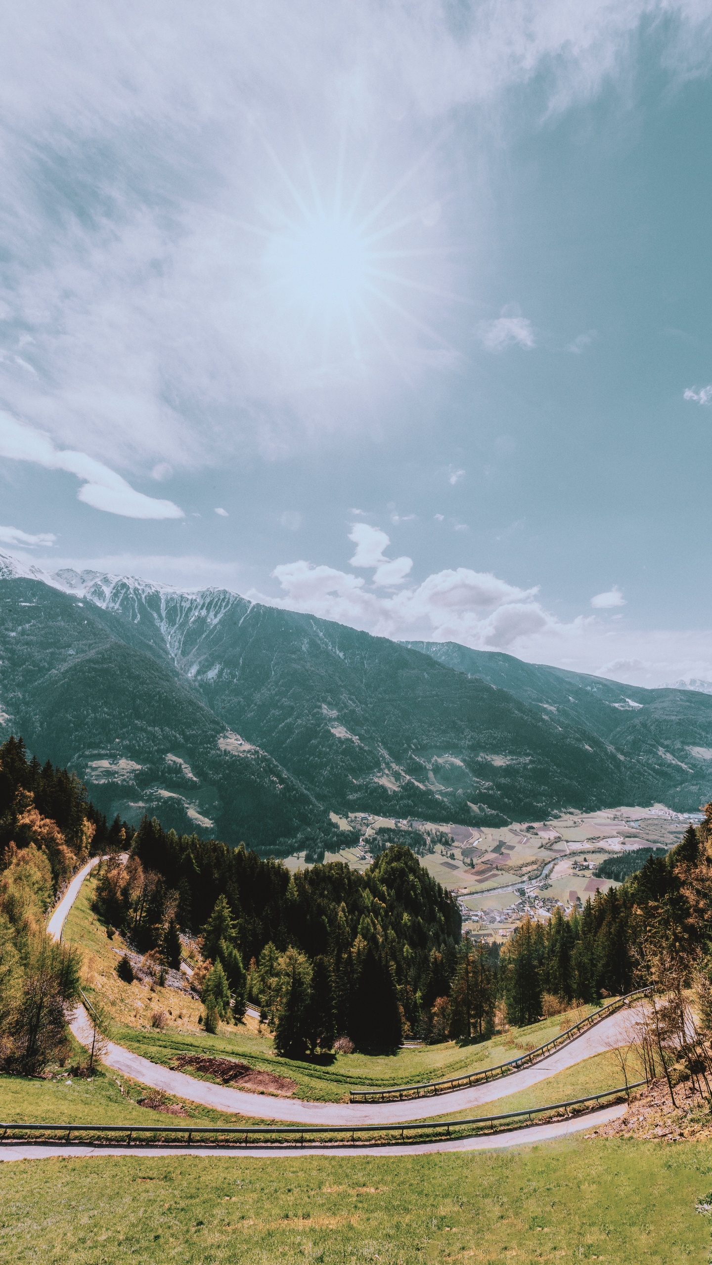 Обои дерево, облако, гора, пейзаж, растение в разрешении 1440x2560