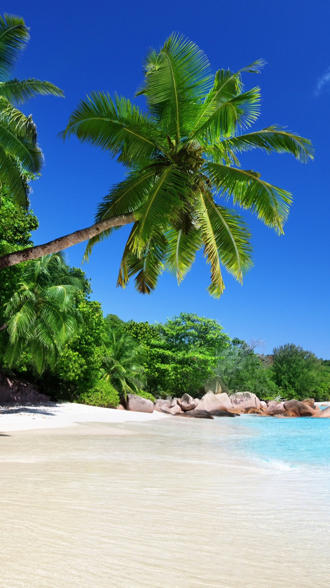 Обои Анс Лацио, Анс Жоржет, пляж, тропическая зона, море в разрешении 1080x1920