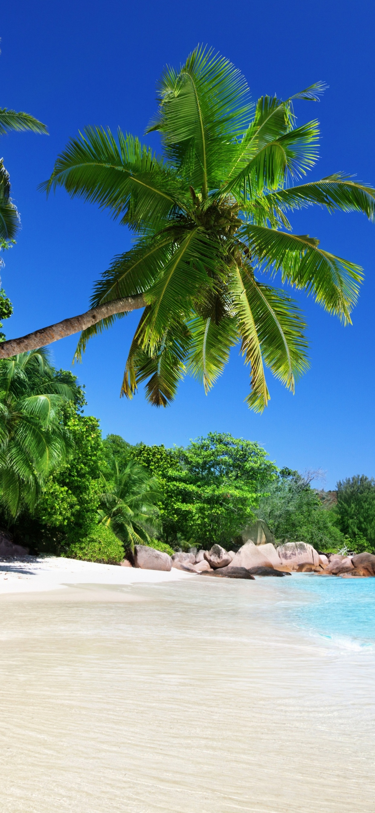 Обои Анс Лацио, Анс Жоржет, пляж, тропическая зона, море в разрешении 1242x2688