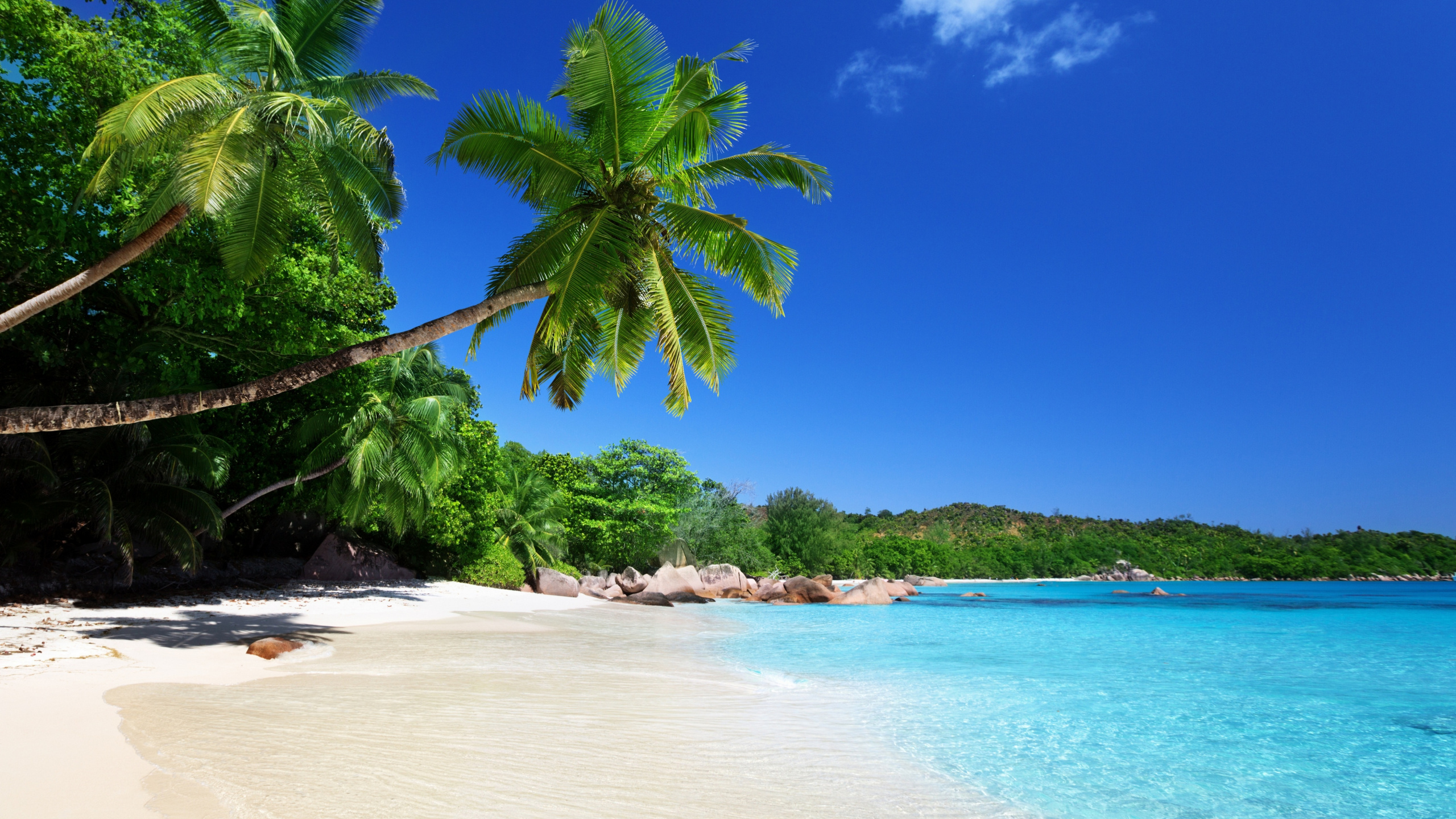 Обои Анс Лацио, Анс Жоржет, пляж, тропическая зона, море в разрешении 2560x1440