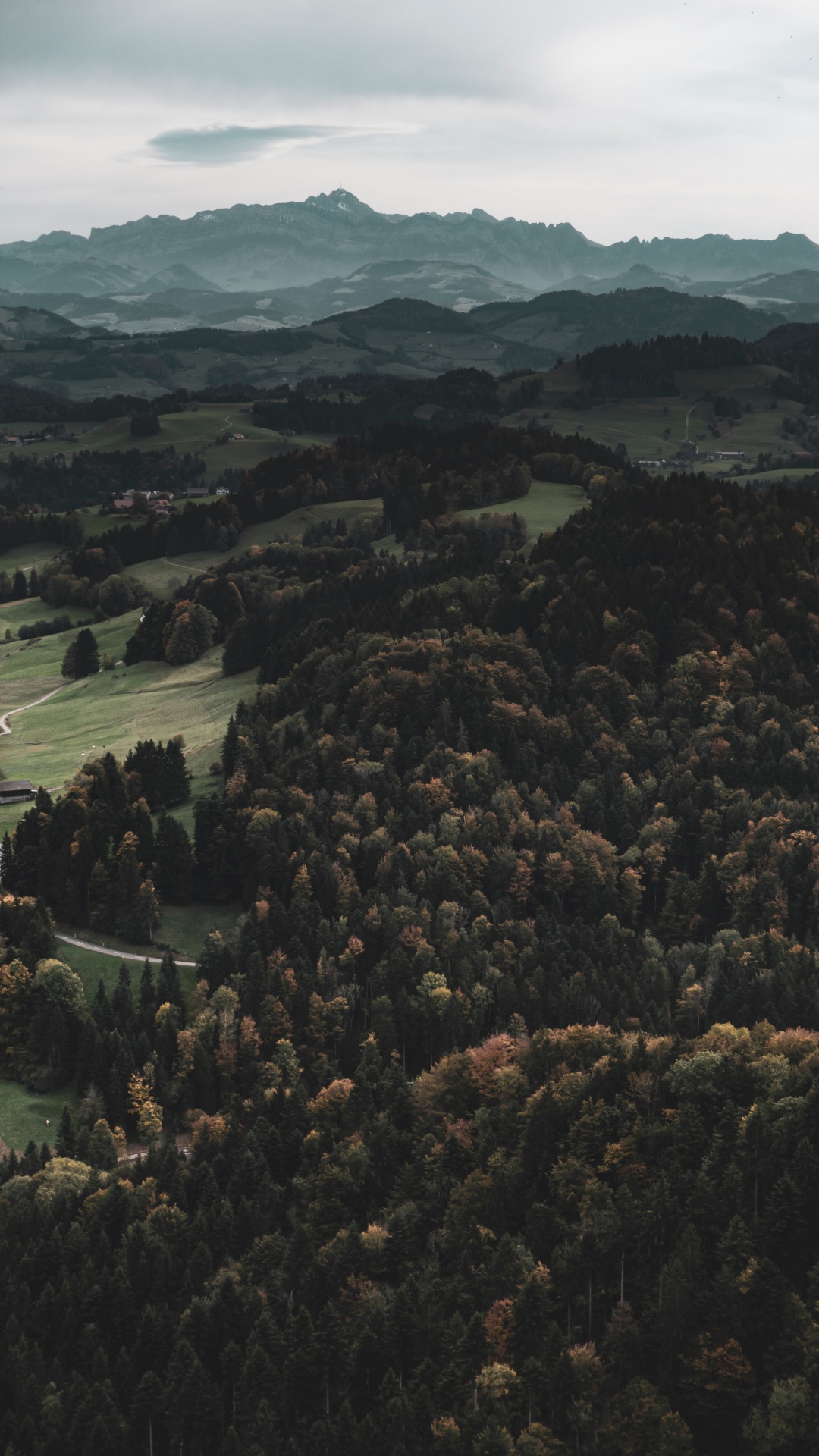 Обои дикая местность, лес, горный рельеф, Через реку, холм в разрешении 1080x1920