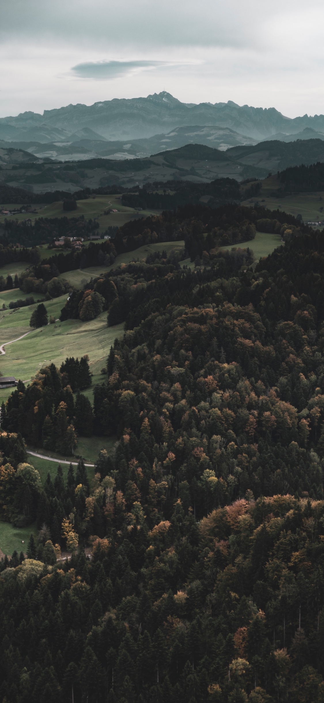 Обои дикая местность, лес, горный рельеф, Через реку, холм в разрешении 1125x2436