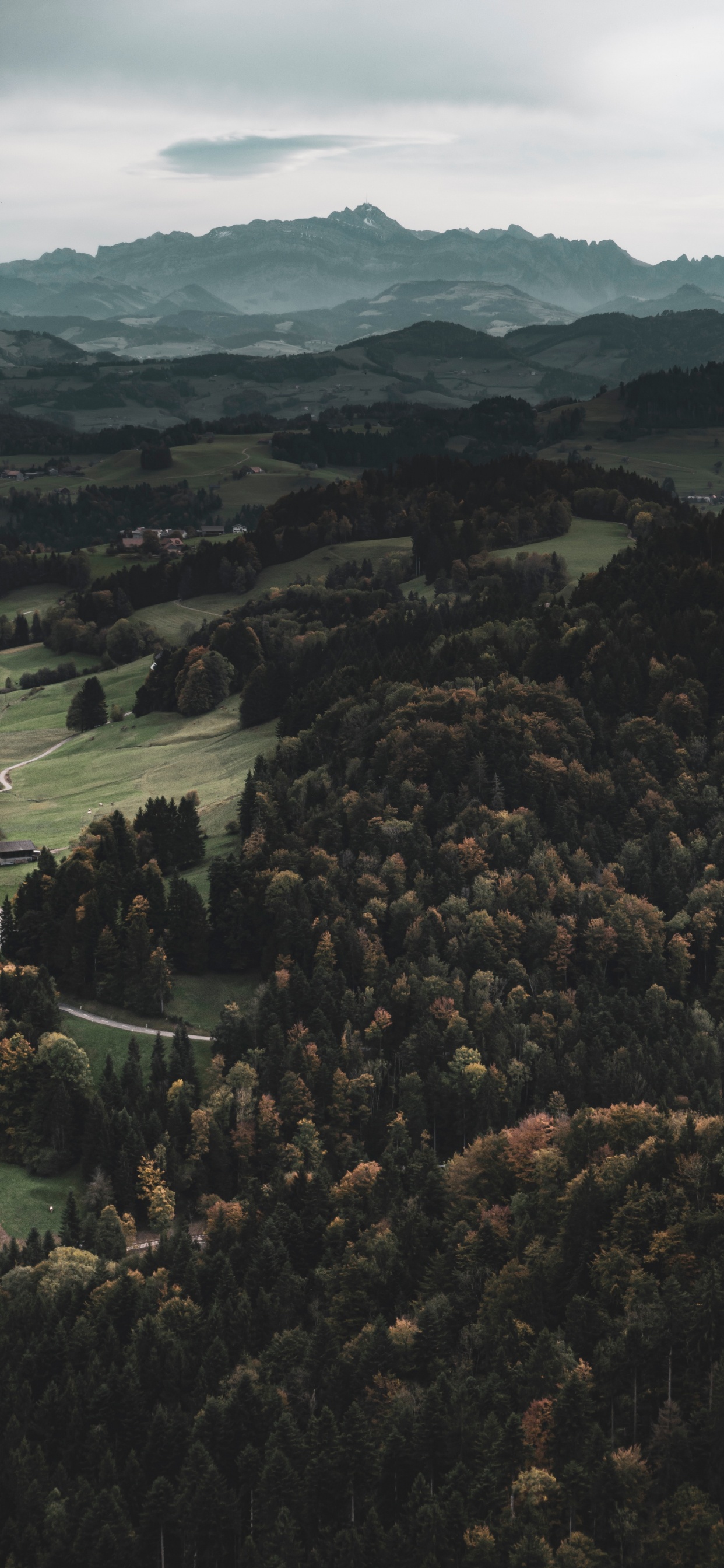 Обои дикая местность, лес, горный рельеф, Через реку, холм в разрешении 1242x2688