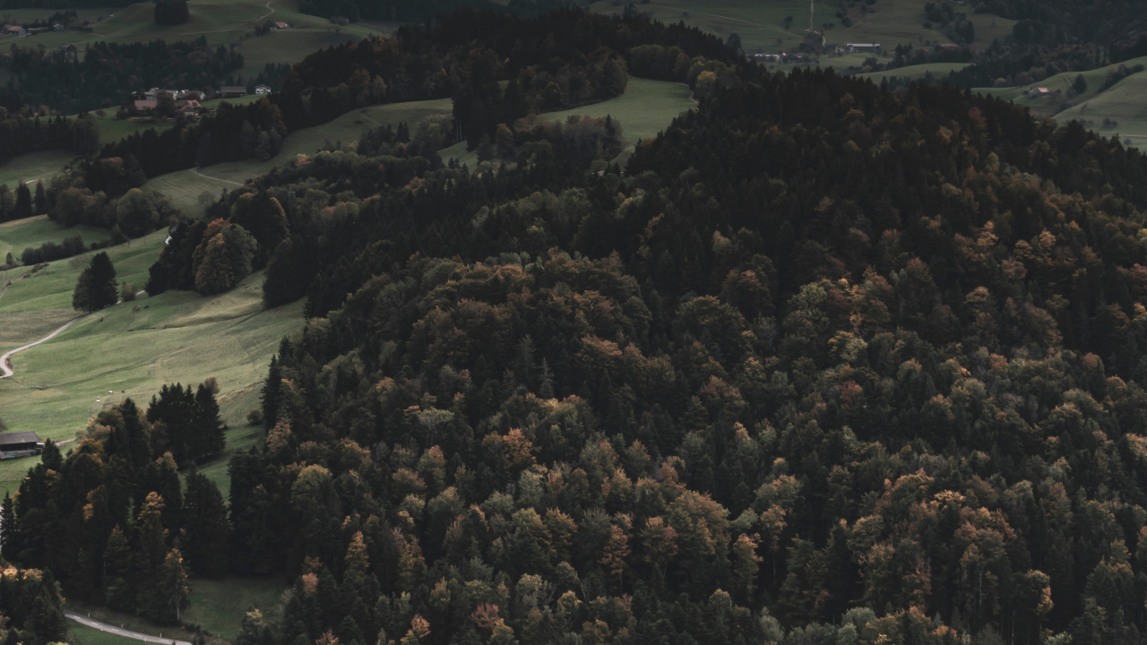 Обои дикая местность, лес, горный рельеф, Через реку, холм в разрешении 1280x720