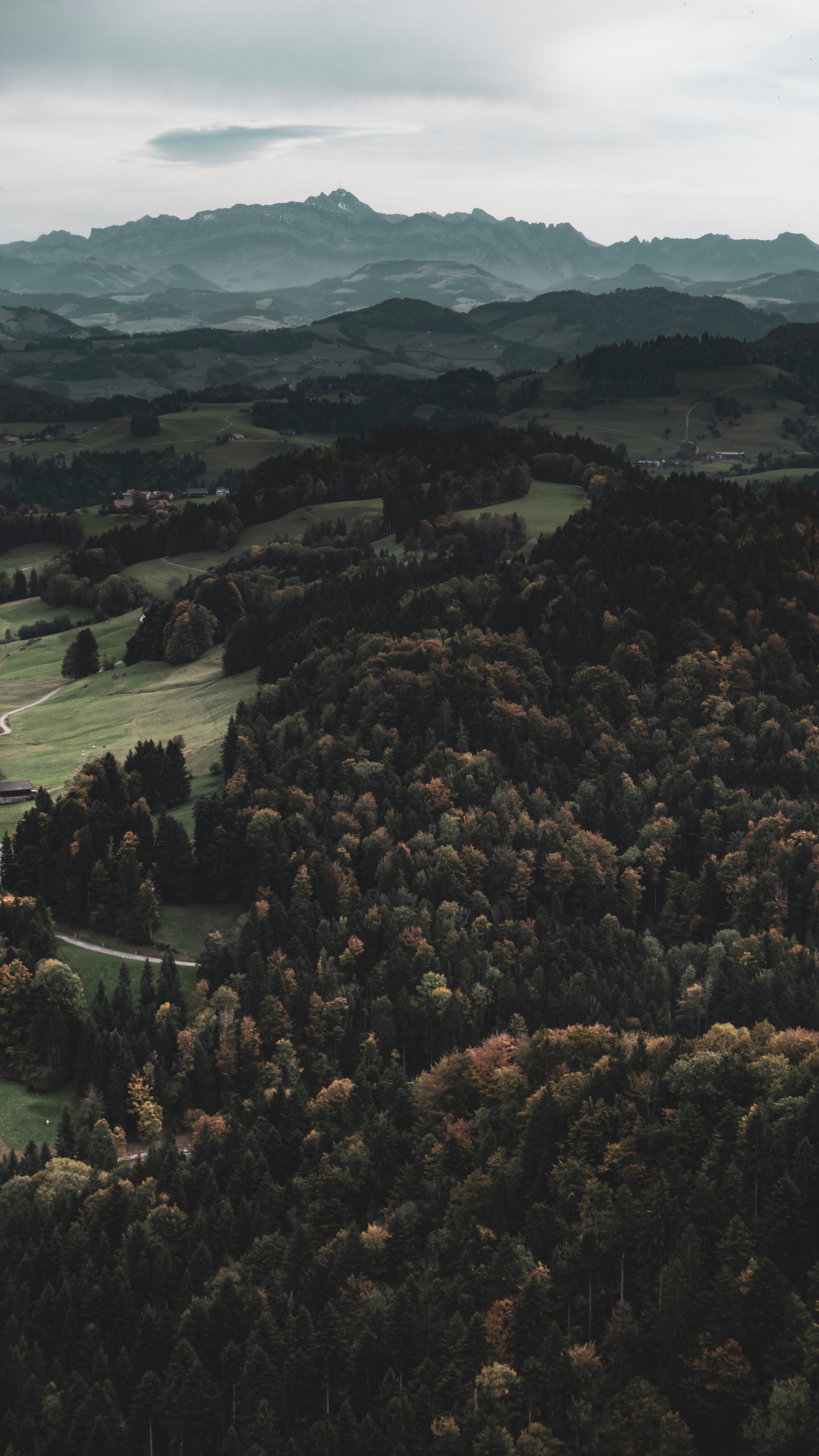 Обои дикая местность, лес, горный рельеф, Через реку, холм в разрешении 1440x2560