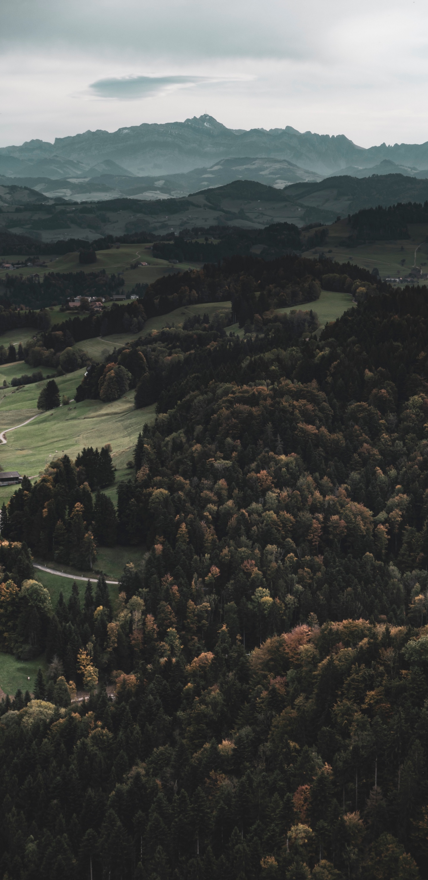 Обои дикая местность, лес, горный рельеф, Через реку, холм в разрешении 1440x2960