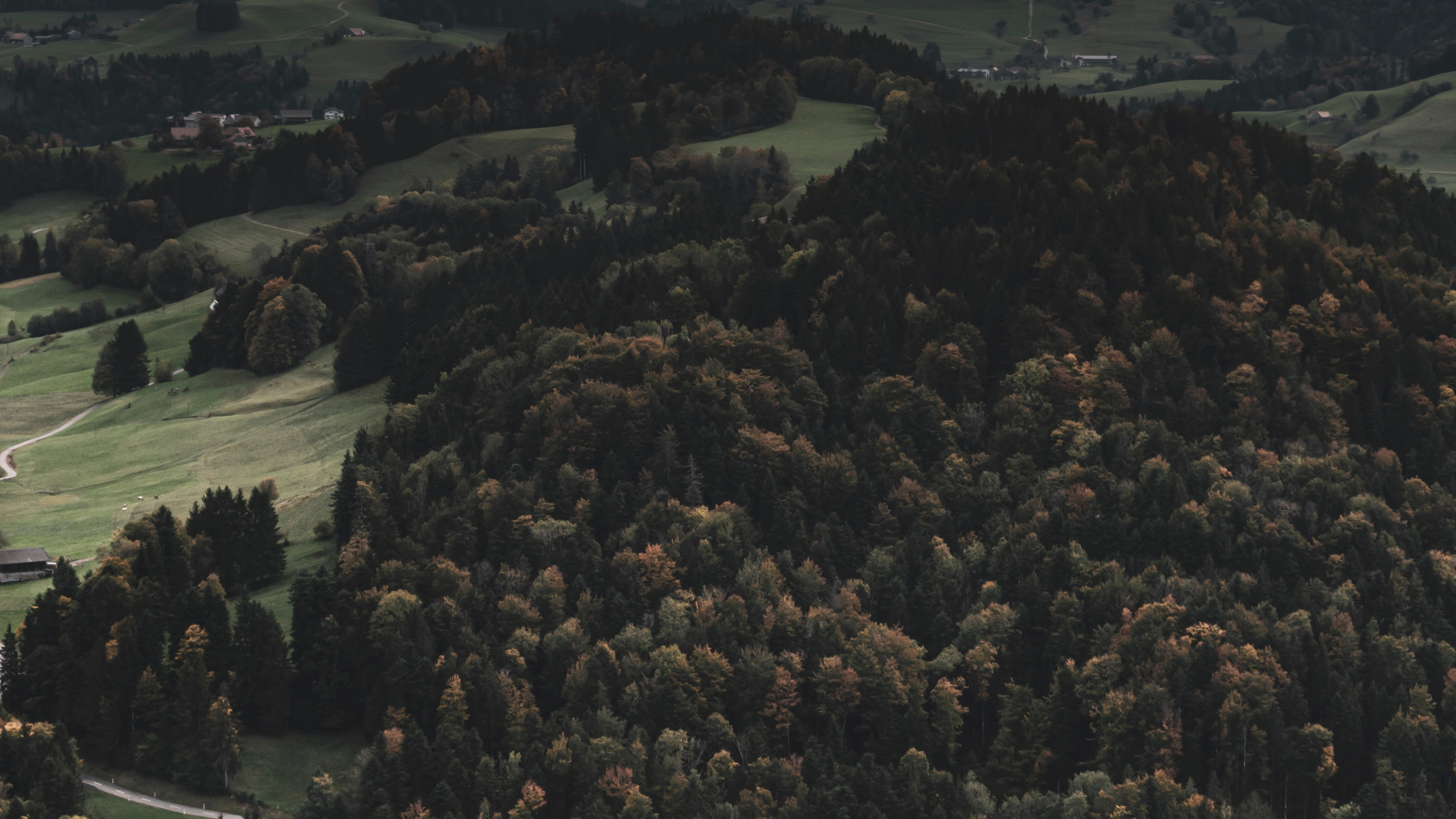 Обои дикая местность, лес, горный рельеф, Через реку, холм в разрешении 2560x1440