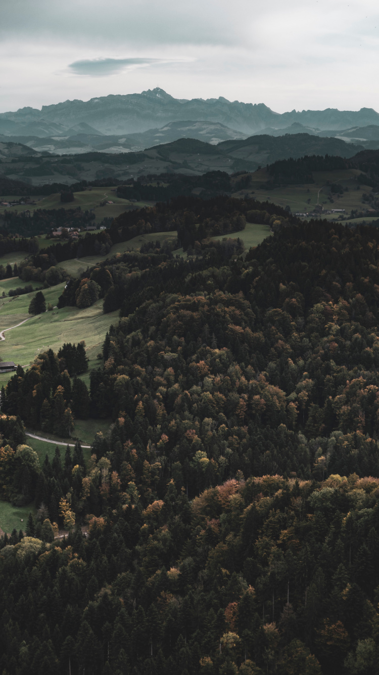 Обои дикая местность, лес, горный рельеф, Через реку, холм в разрешении 750x1334