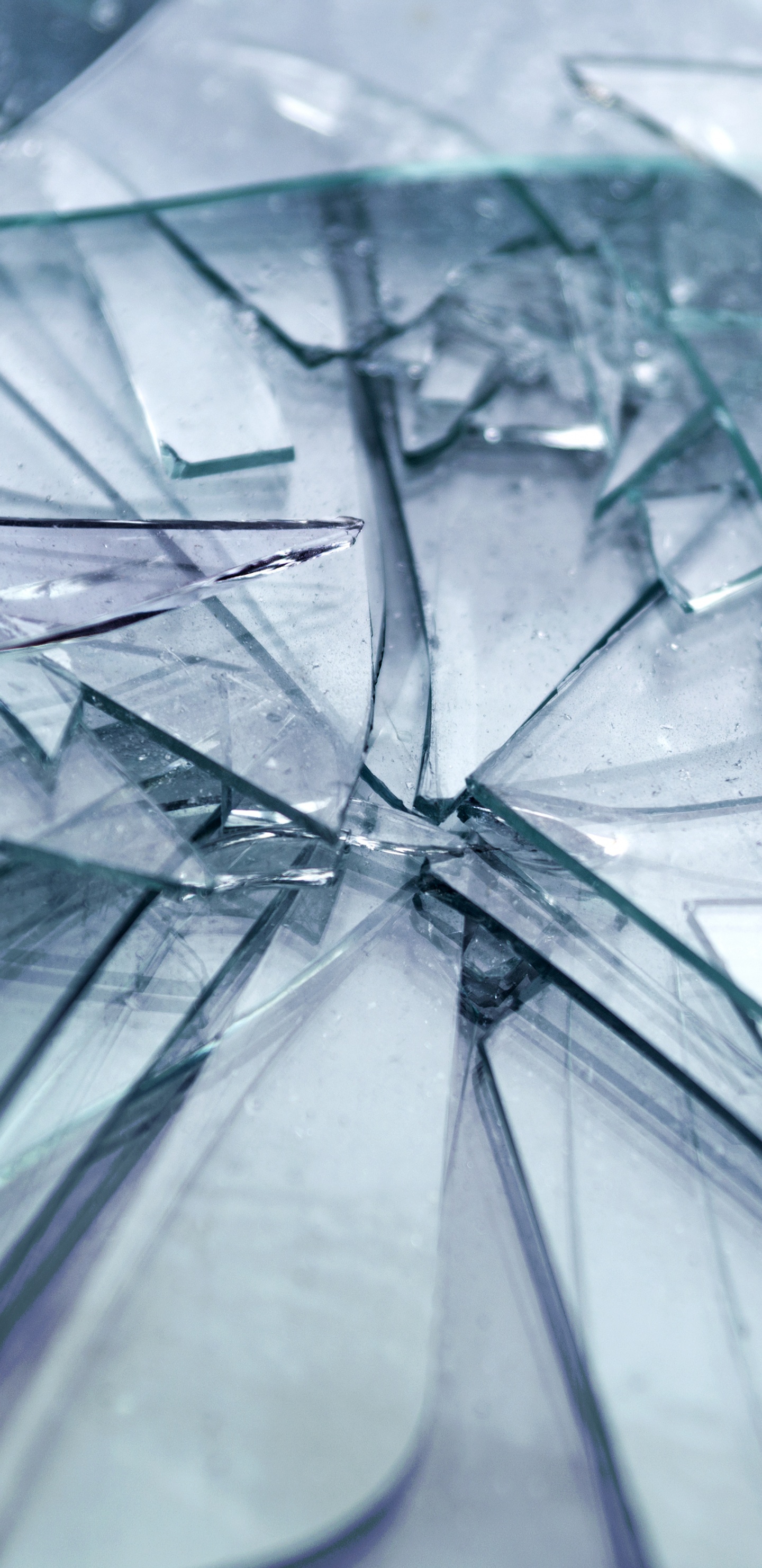 Обои окно, стекло, линия, узор, архитектура в разрешении 1440x2960