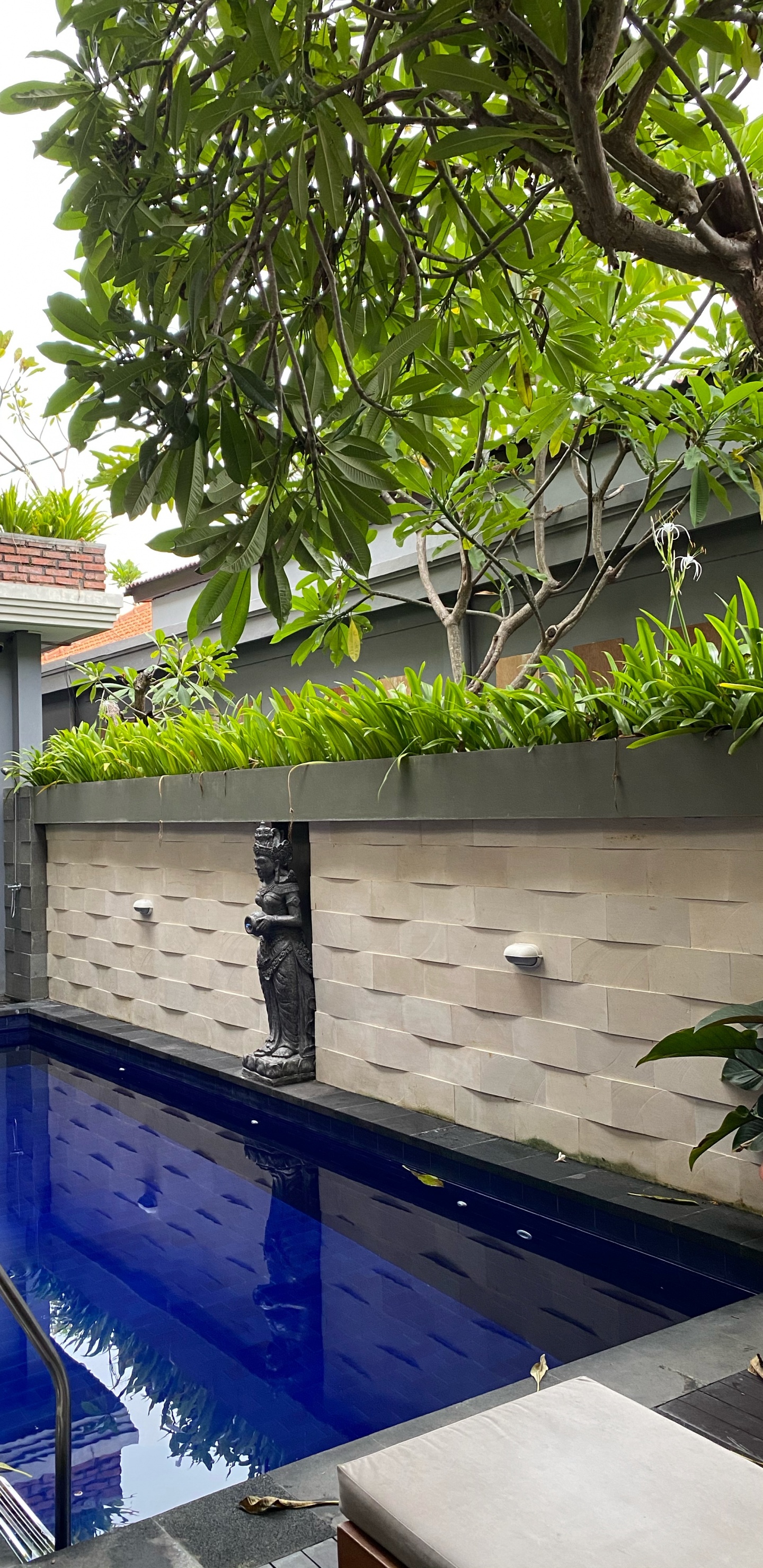 Обои бали, плавательный бассейн, недвижимость, вода, мажорель синий в разрешении 1440x2960