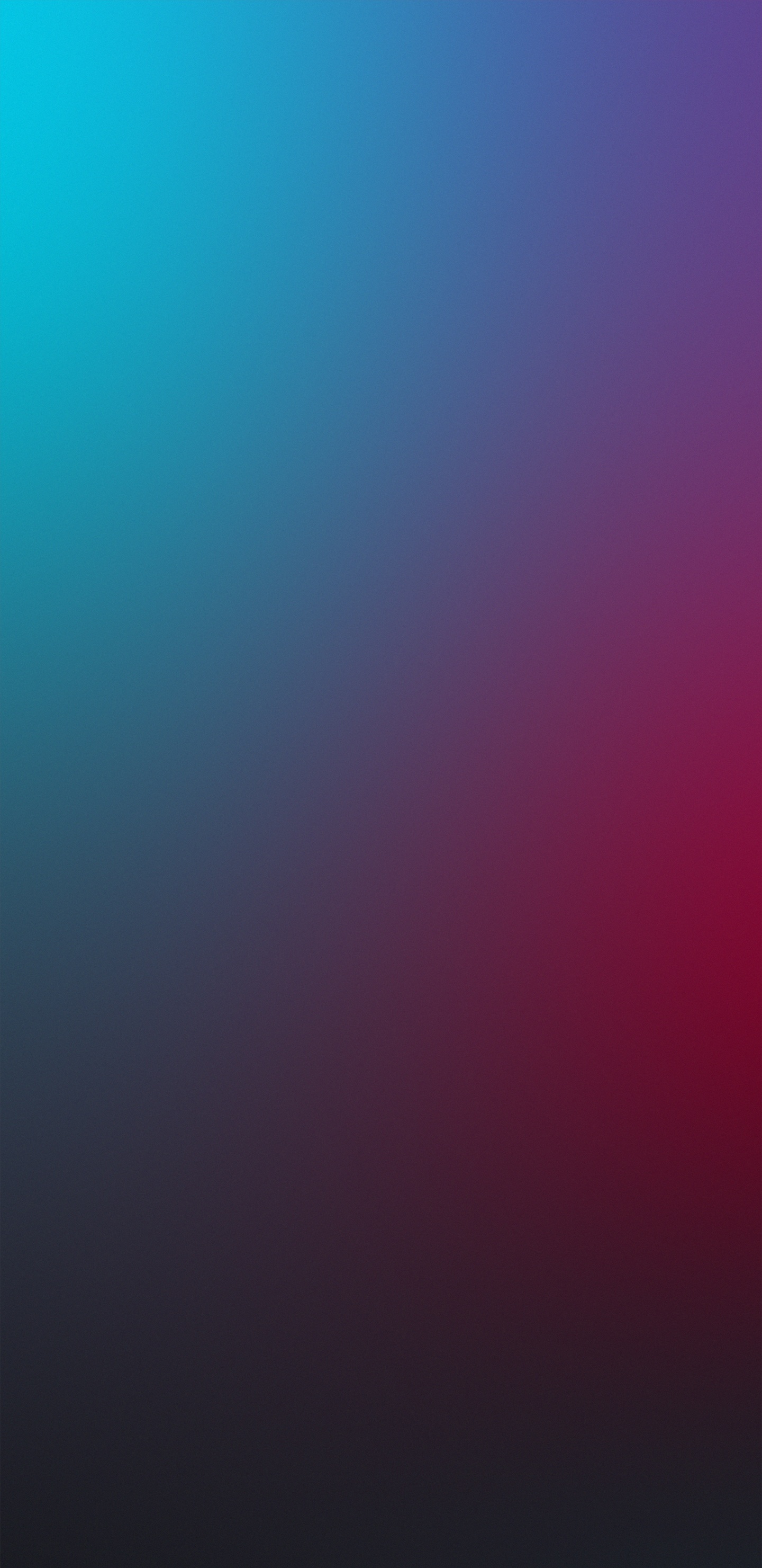 Обои apple, iPhone, iOS 14, яблоко, ios в разрешении 1440x2960