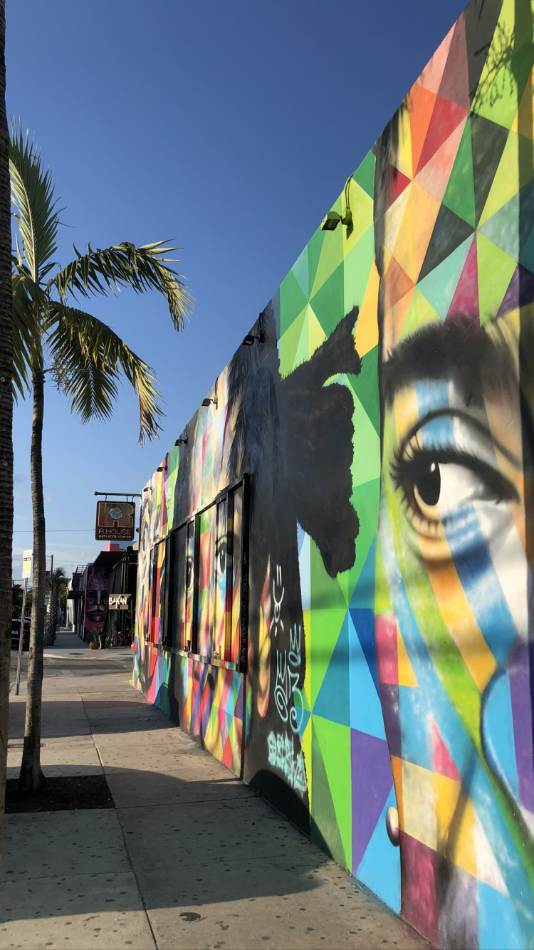 Обои Майами, фреска, красочность, граффити, полутона и оттенки в разрешении 750x1334