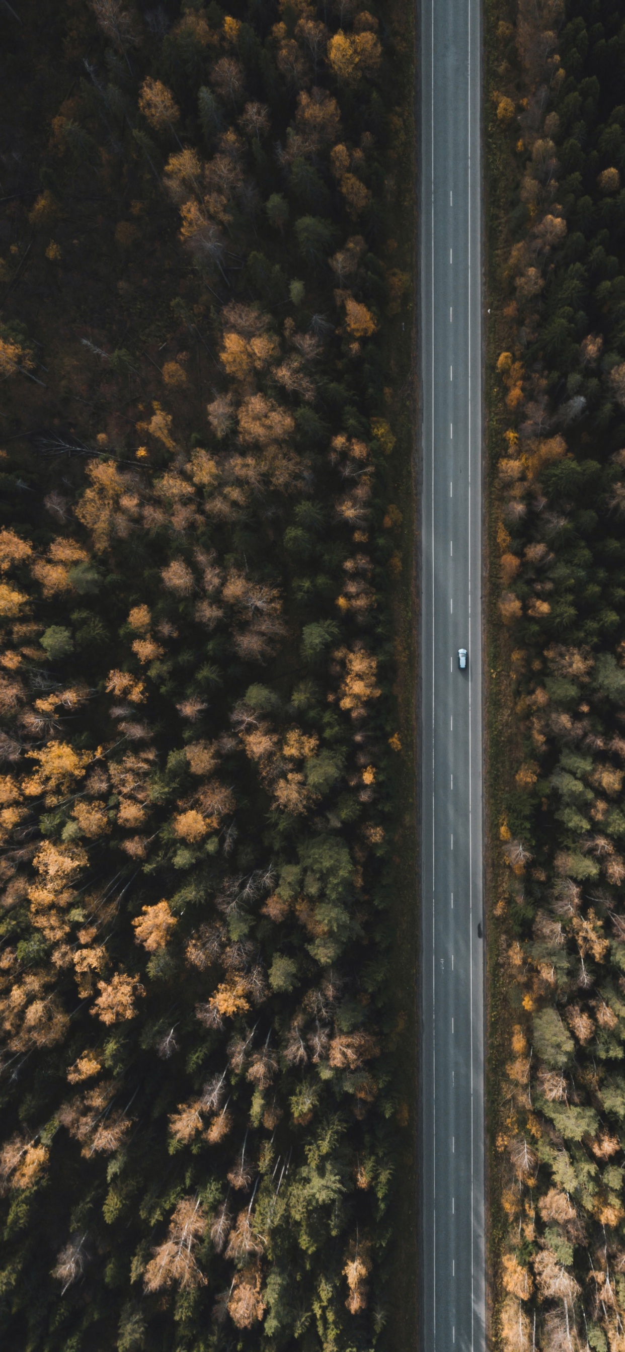 Обои небо, металл, край, ночь, освещение в разрешении 1242x2688