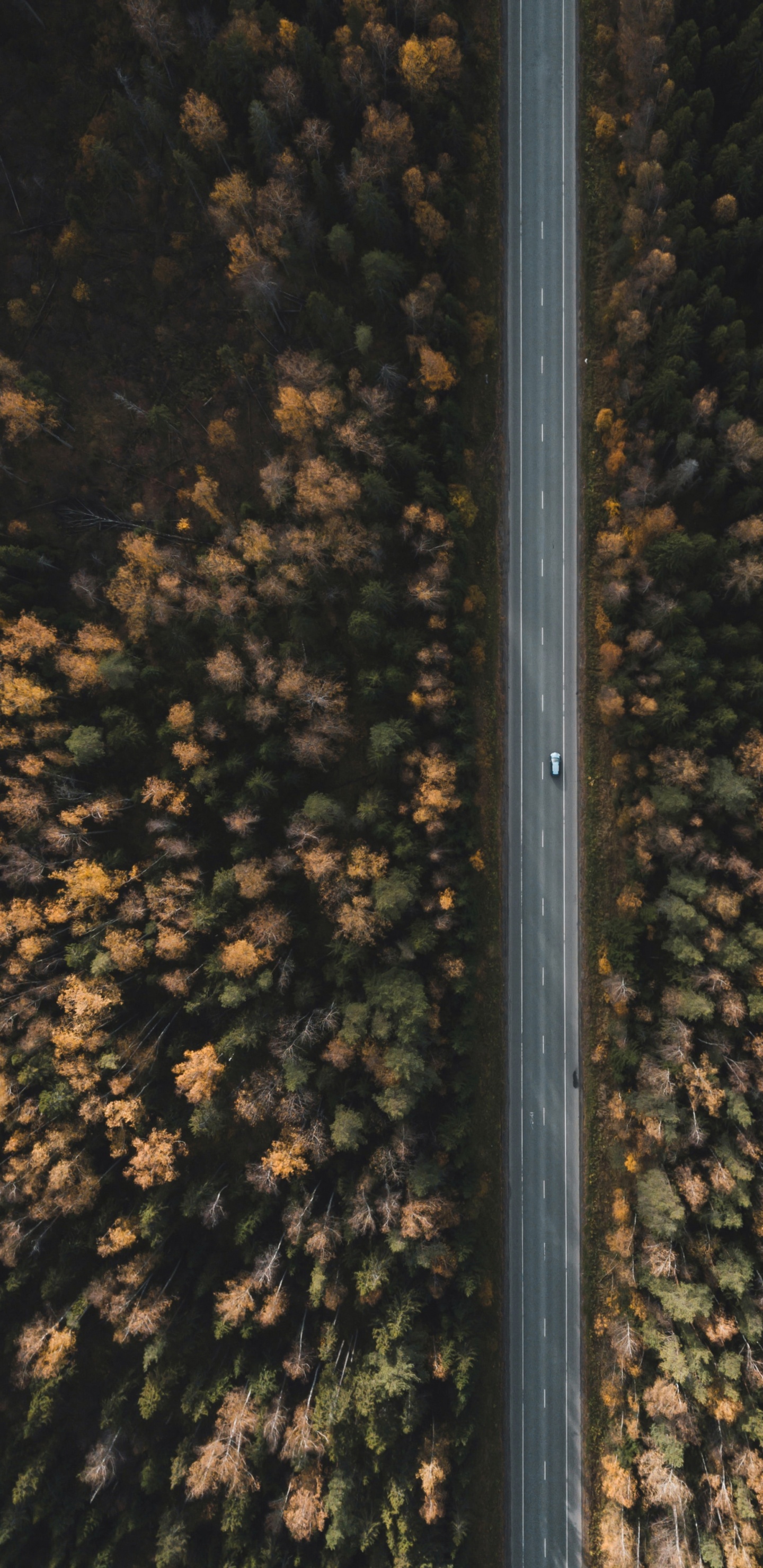 Обои небо, металл, край, ночь, освещение в разрешении 1440x2960