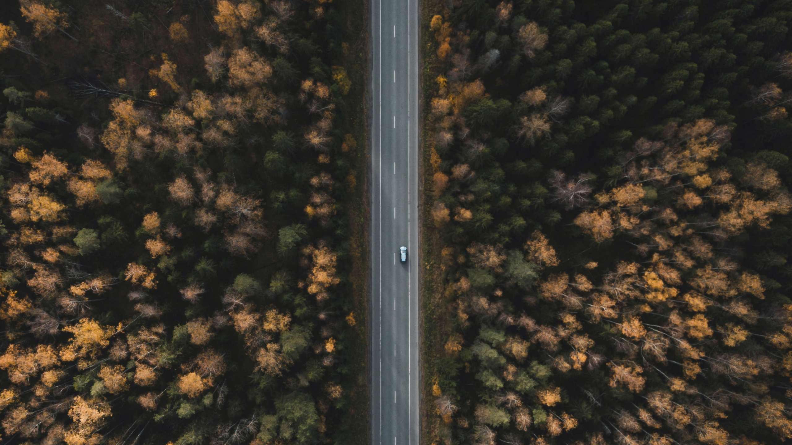 Обои небо, металл, край, ночь, освещение в разрешении 2560x1440