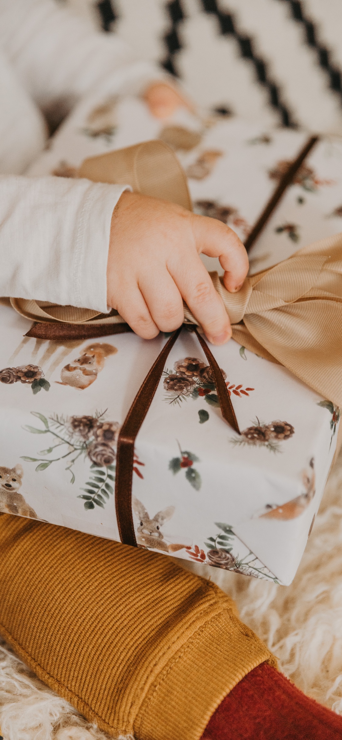 Обои подарок, дерево, ткань, растение, персик в разрешении 1125x2436