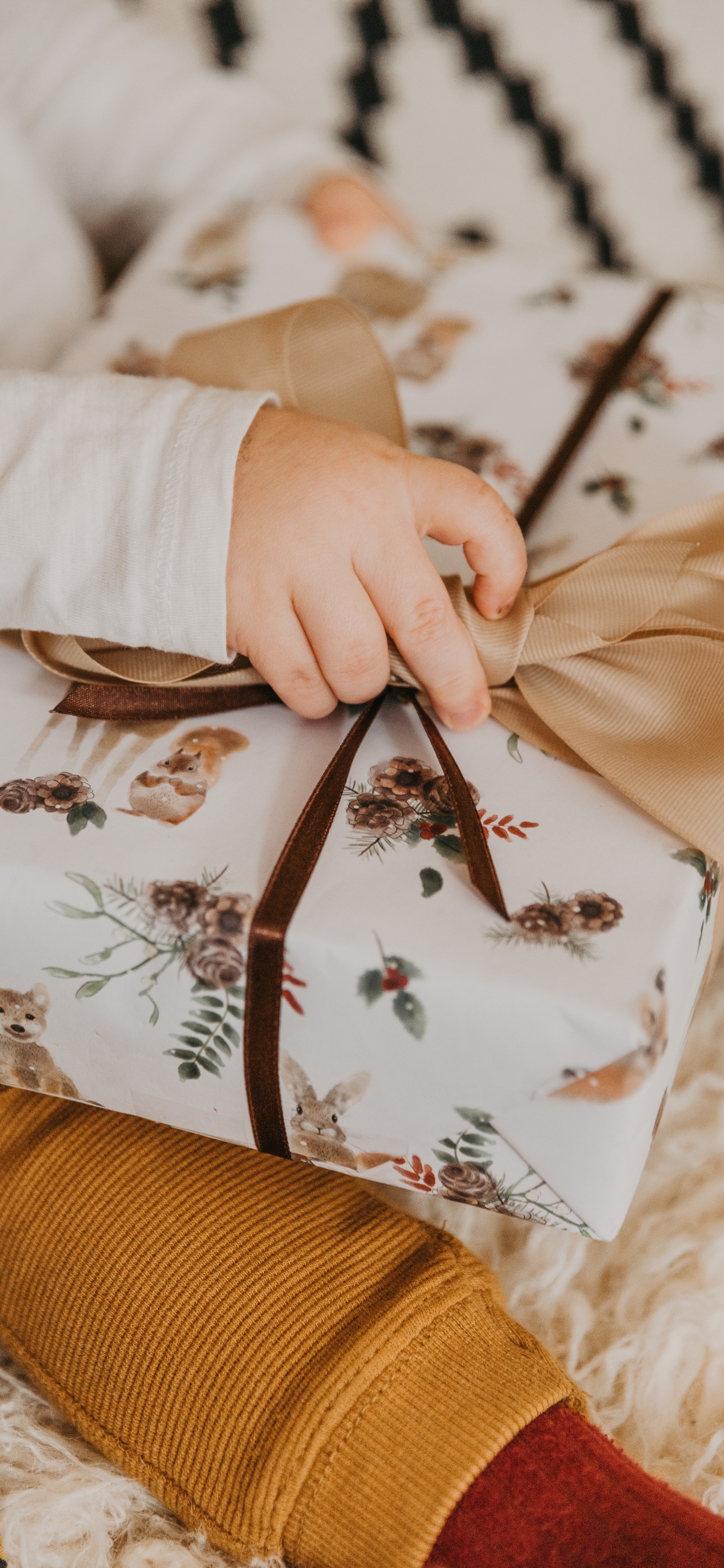 Обои подарок, дерево, ткань, растение, персик в разрешении 1242x2688