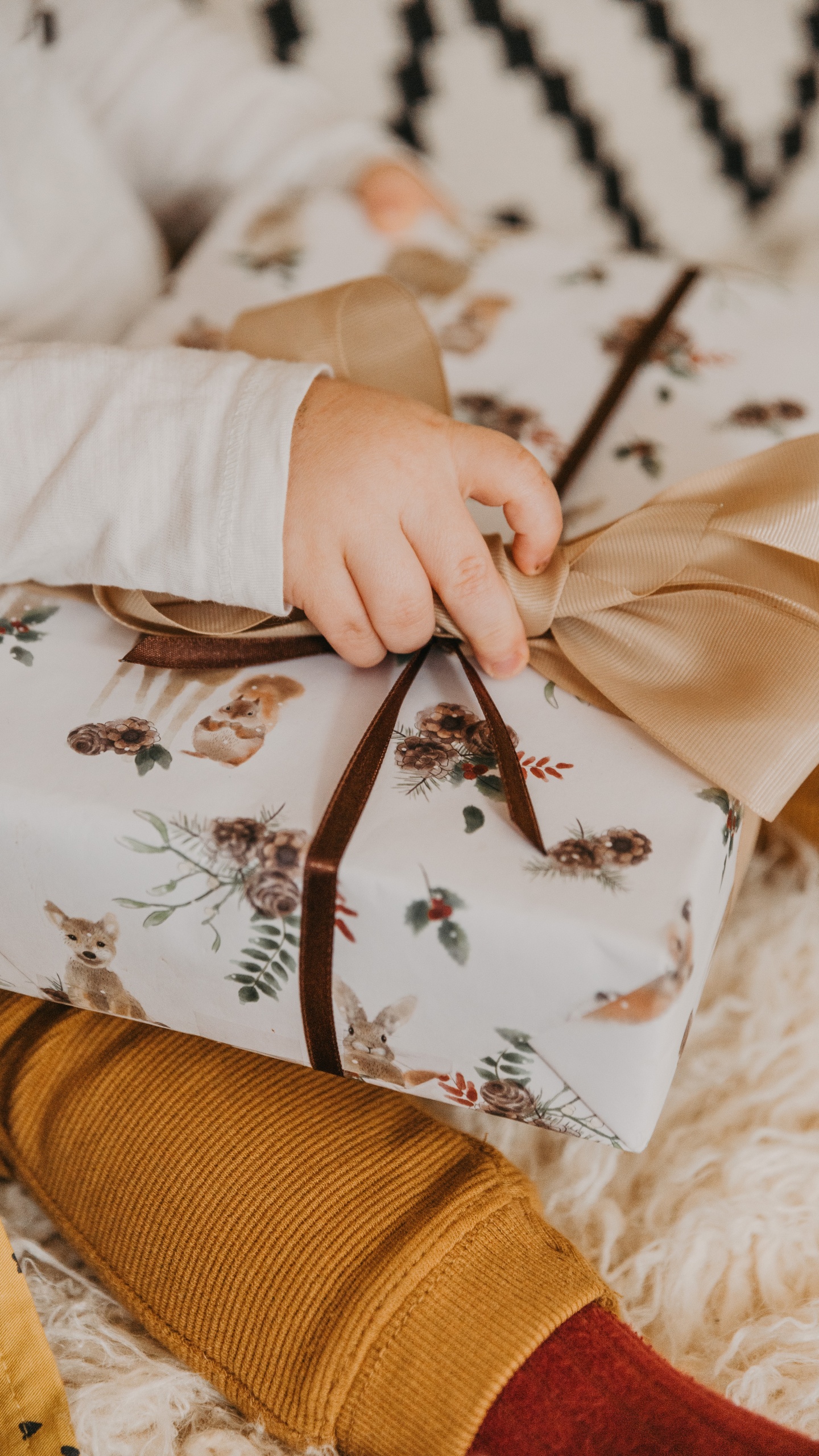 Обои подарок, дерево, ткань, растение, персик в разрешении 1440x2560