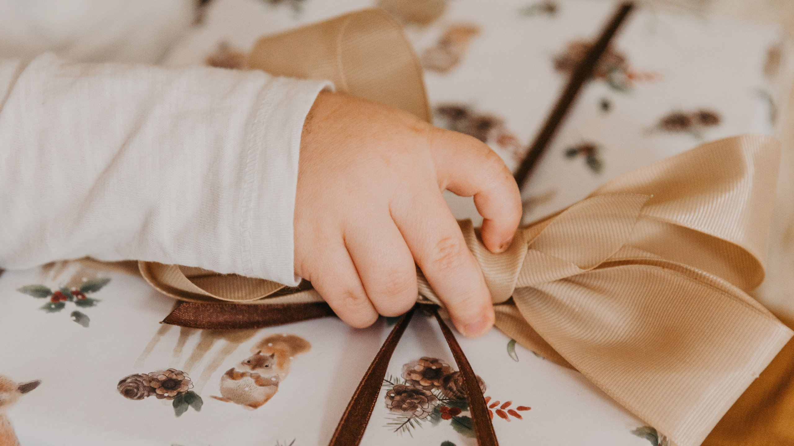 Обои подарок, дерево, ткань, растение, персик в разрешении 2560x1440