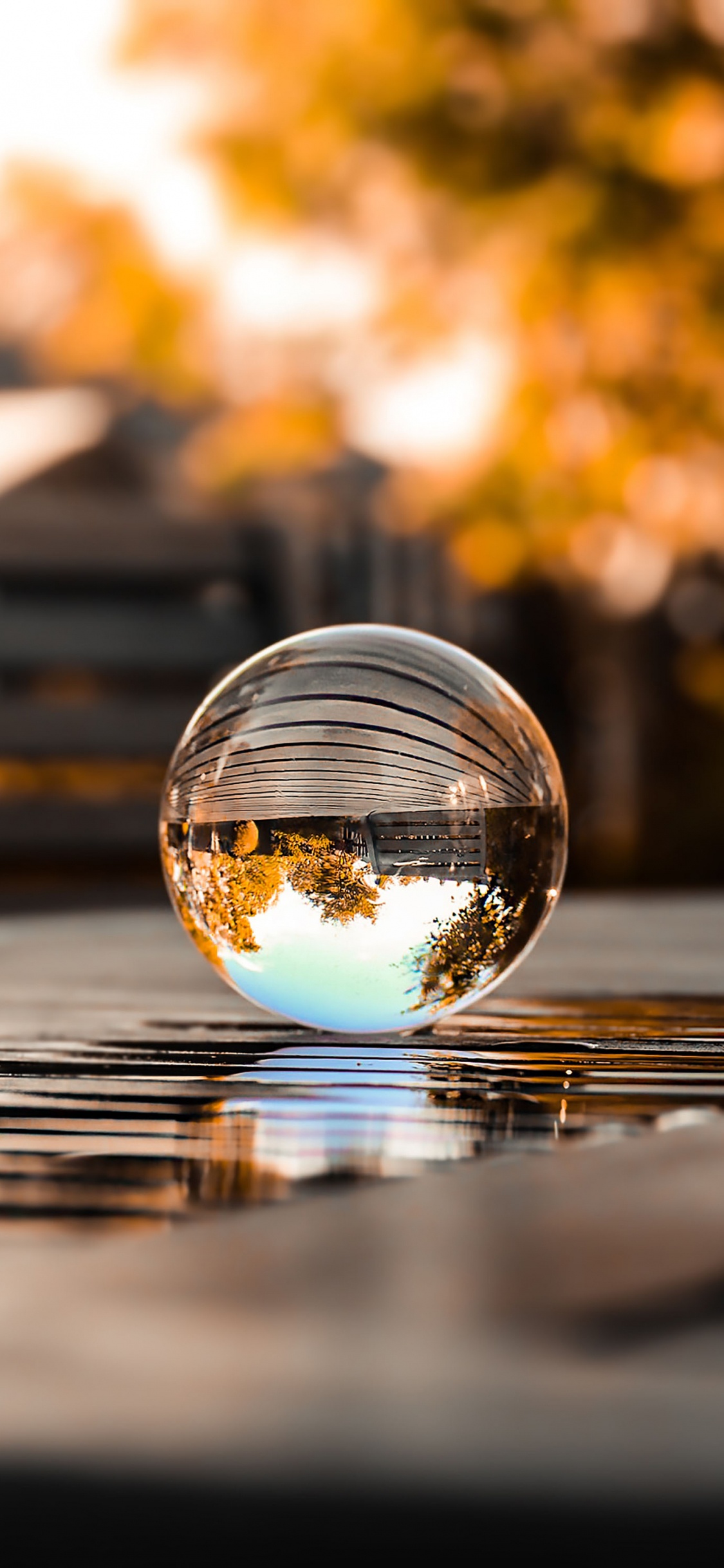 Обои отражение, вода, автомобильное освещение, растение, облако в разрешении 1125x2436