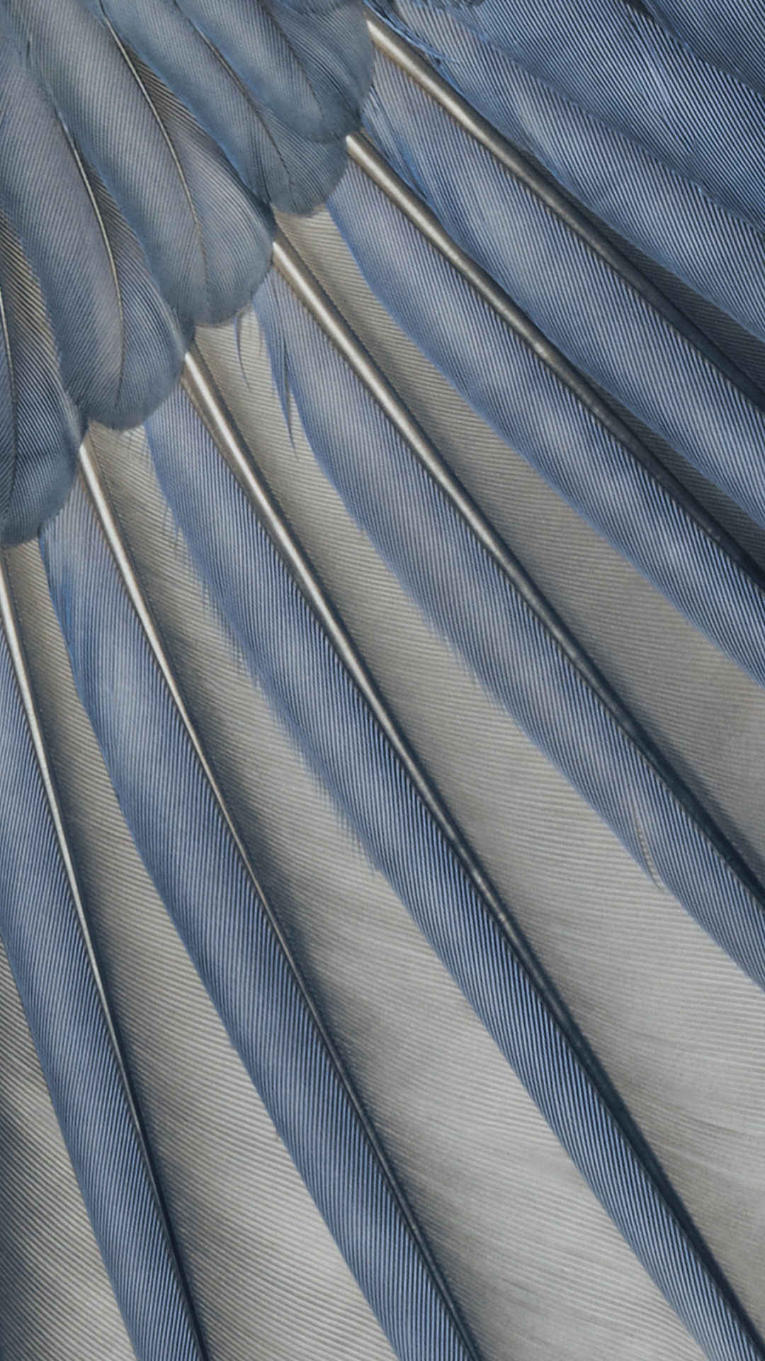 Обои гугл пиксель 7а, пиксель 6а, Google, гугл магазин, смартфон в разрешении 1080x1920