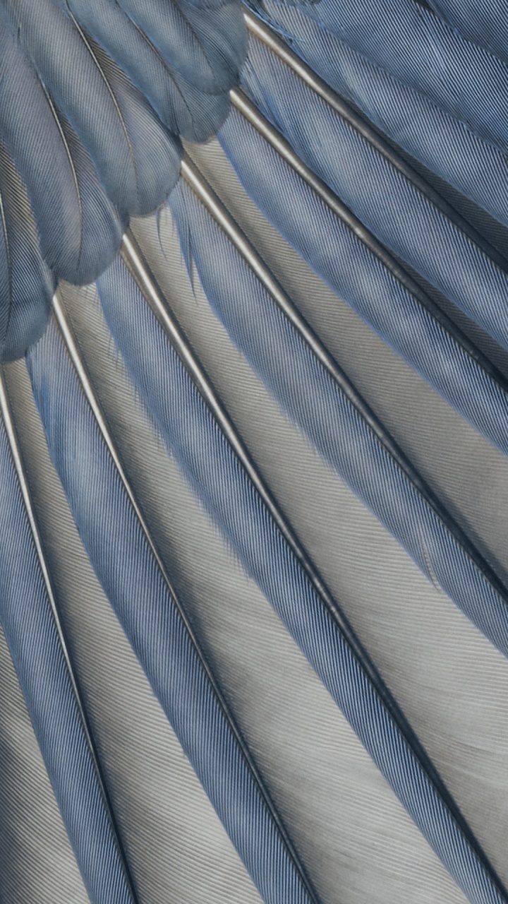 Обои гугл пиксель 7а, пиксель 6а, Google, гугл магазин, смартфон в разрешении 720x1280