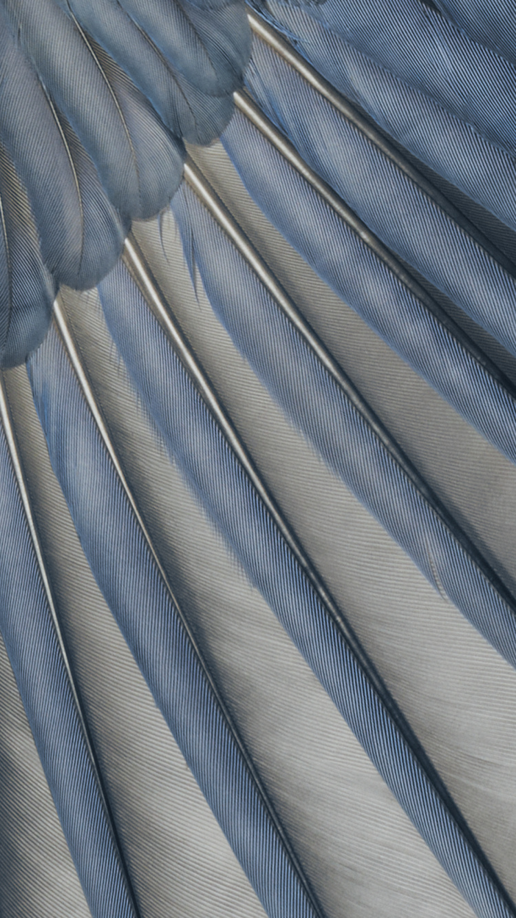 Обои гугл пиксель 7а, пиксель 6а, Google, гугл магазин, смартфон в разрешении 750x1334