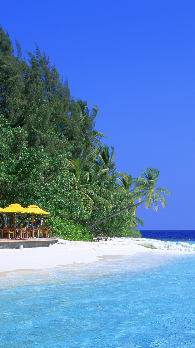 Обои пляж, море, тропическая зона, Карибский бассейн, океан в разрешении 750x1334