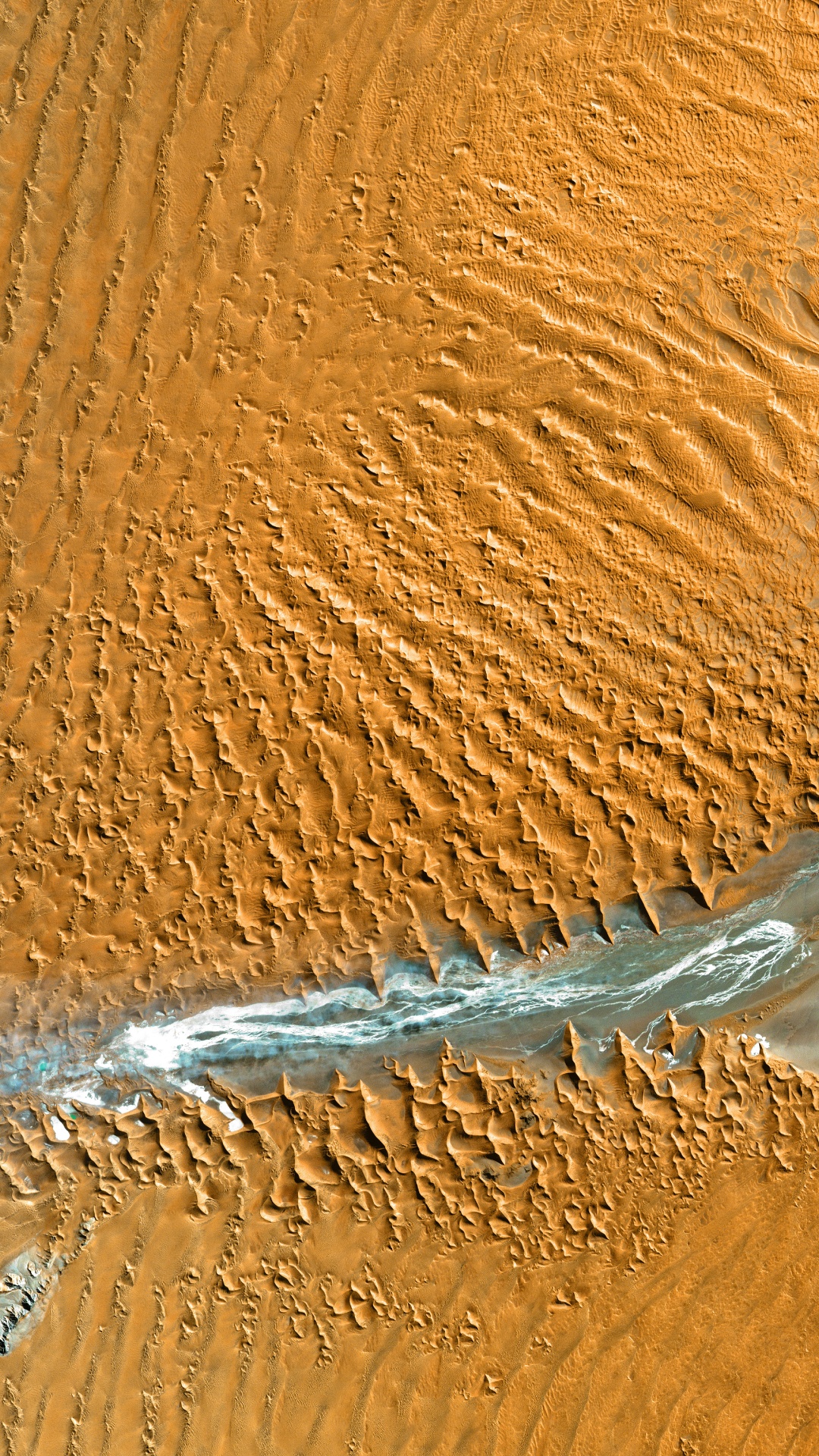 Обои десерт, эрг, древесина, Дюна, песок в разрешении 1080x1920