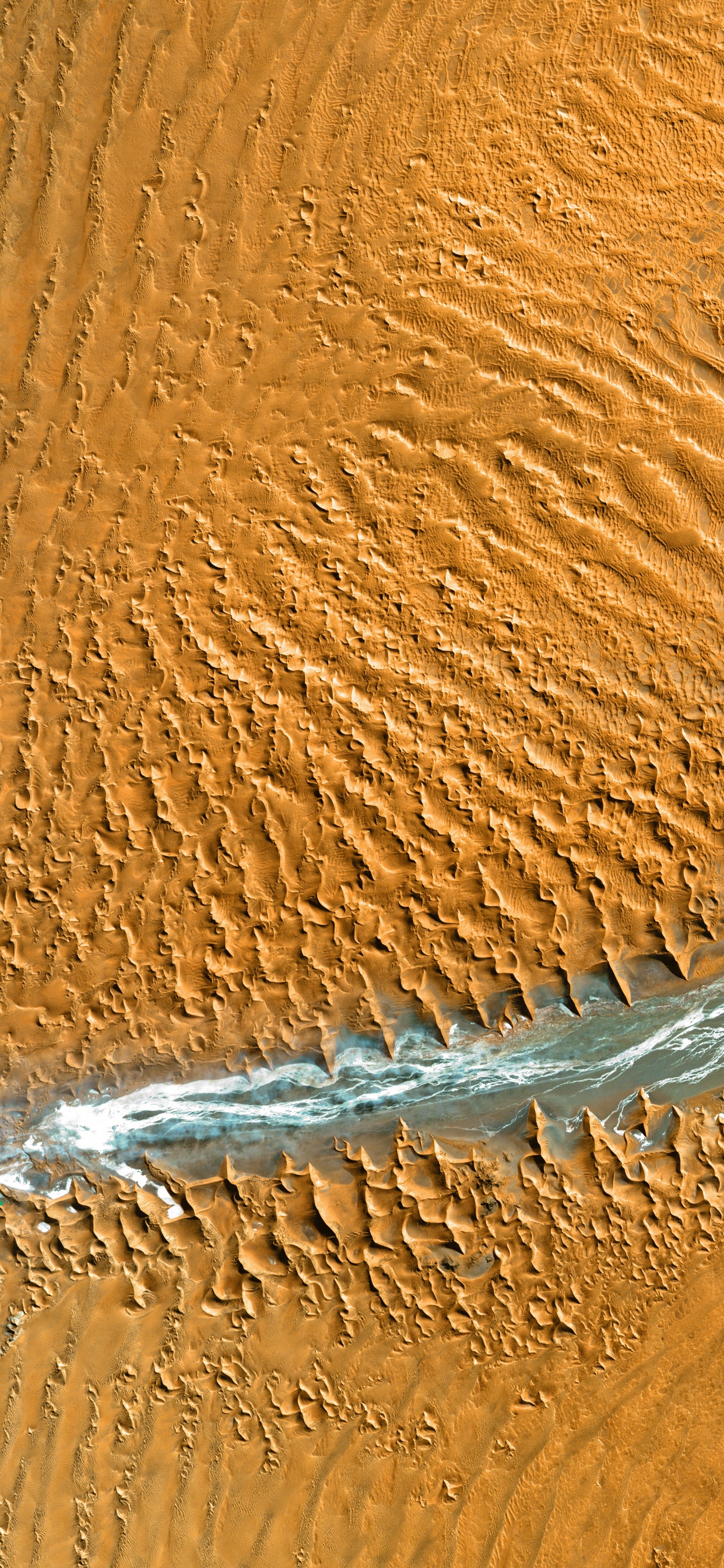 Обои десерт, эрг, древесина, Дюна, песок в разрешении 1242x2688