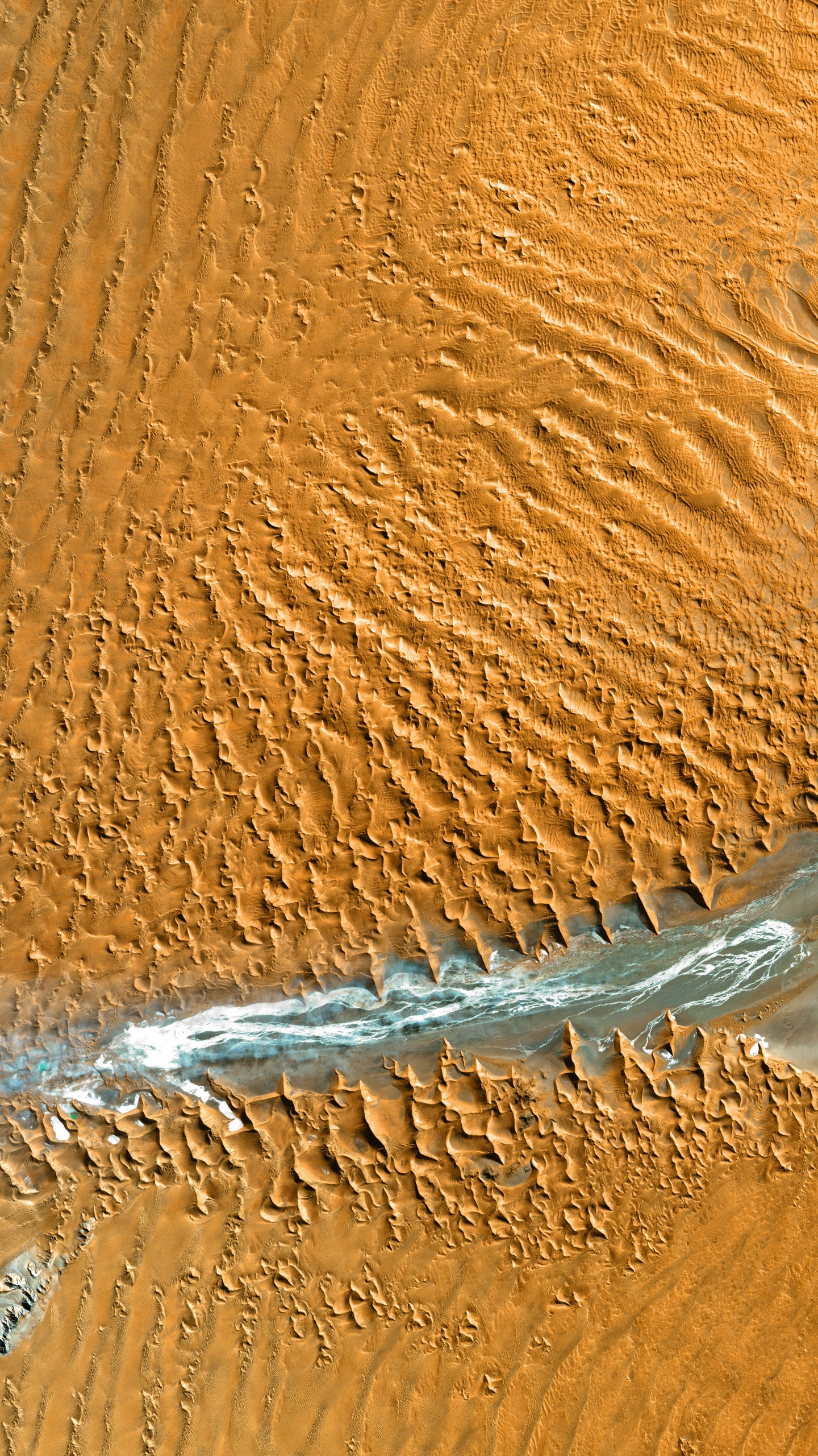 Обои десерт, эрг, древесина, Дюна, песок в разрешении 1440x2560