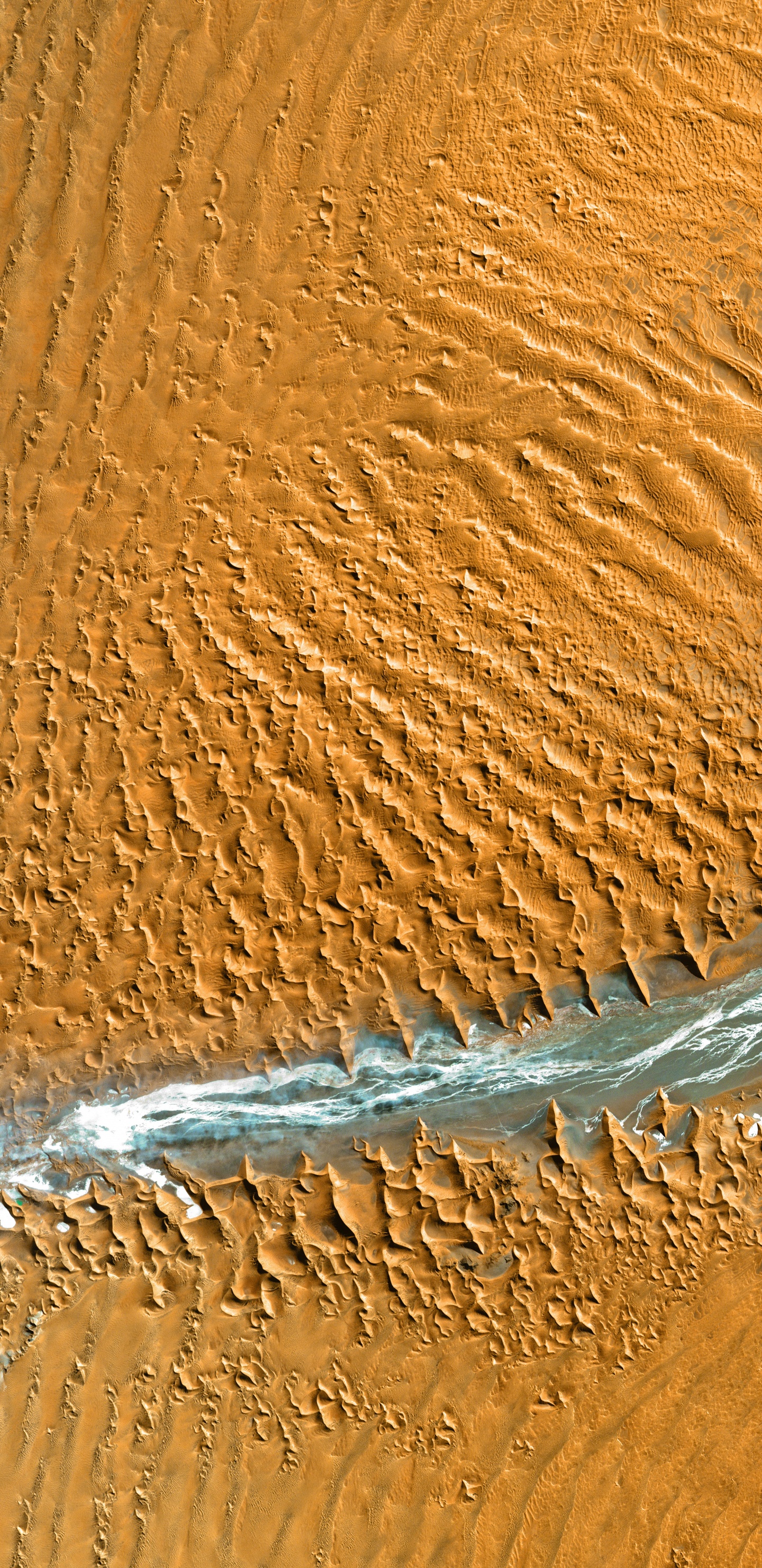 Обои десерт, эрг, древесина, Дюна, песок в разрешении 1440x2960