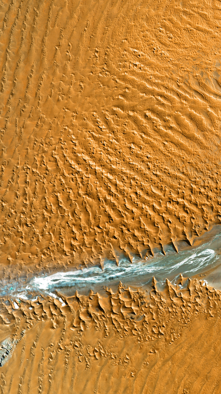 Обои десерт, эрг, древесина, Дюна, песок в разрешении 750x1334