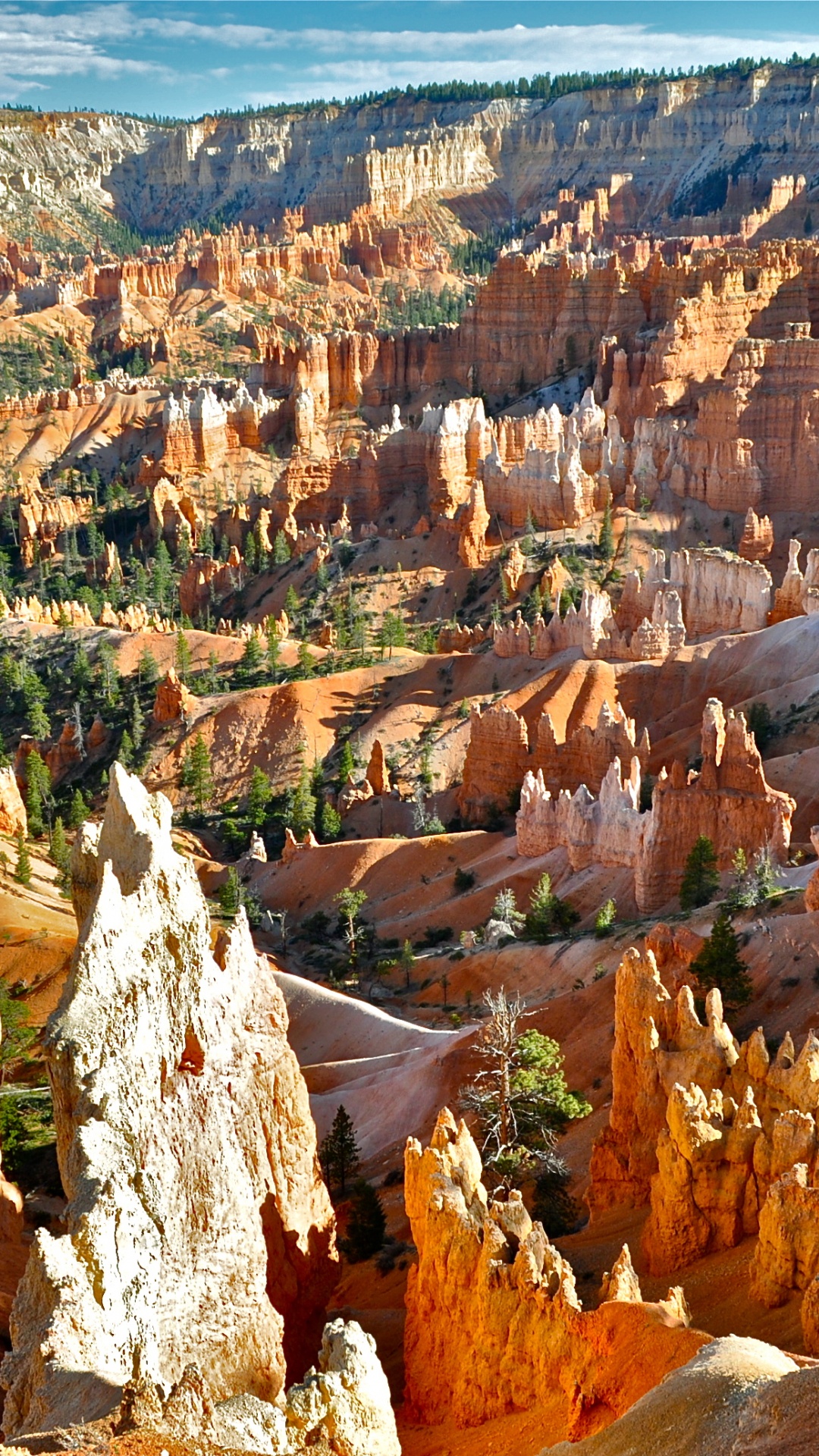 Обои национальный парк Брайсканьон, национальный парк зайон, каньон антилопы, большой каньон, каньон в разрешении 1080x1920