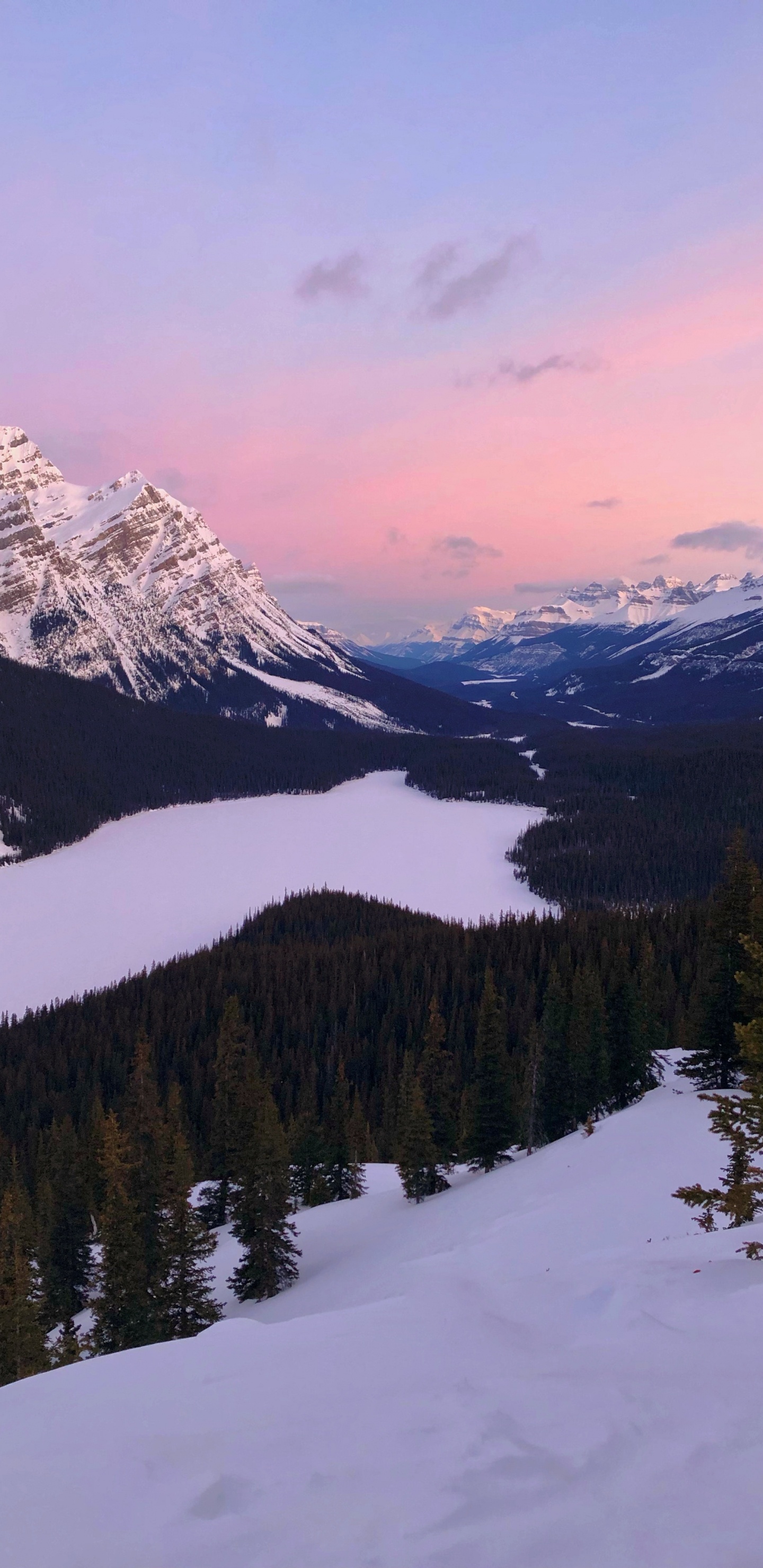 Обои озеро пейто, лук озеро, моренное озеро, гора, озеро в разрешении 1440x2960