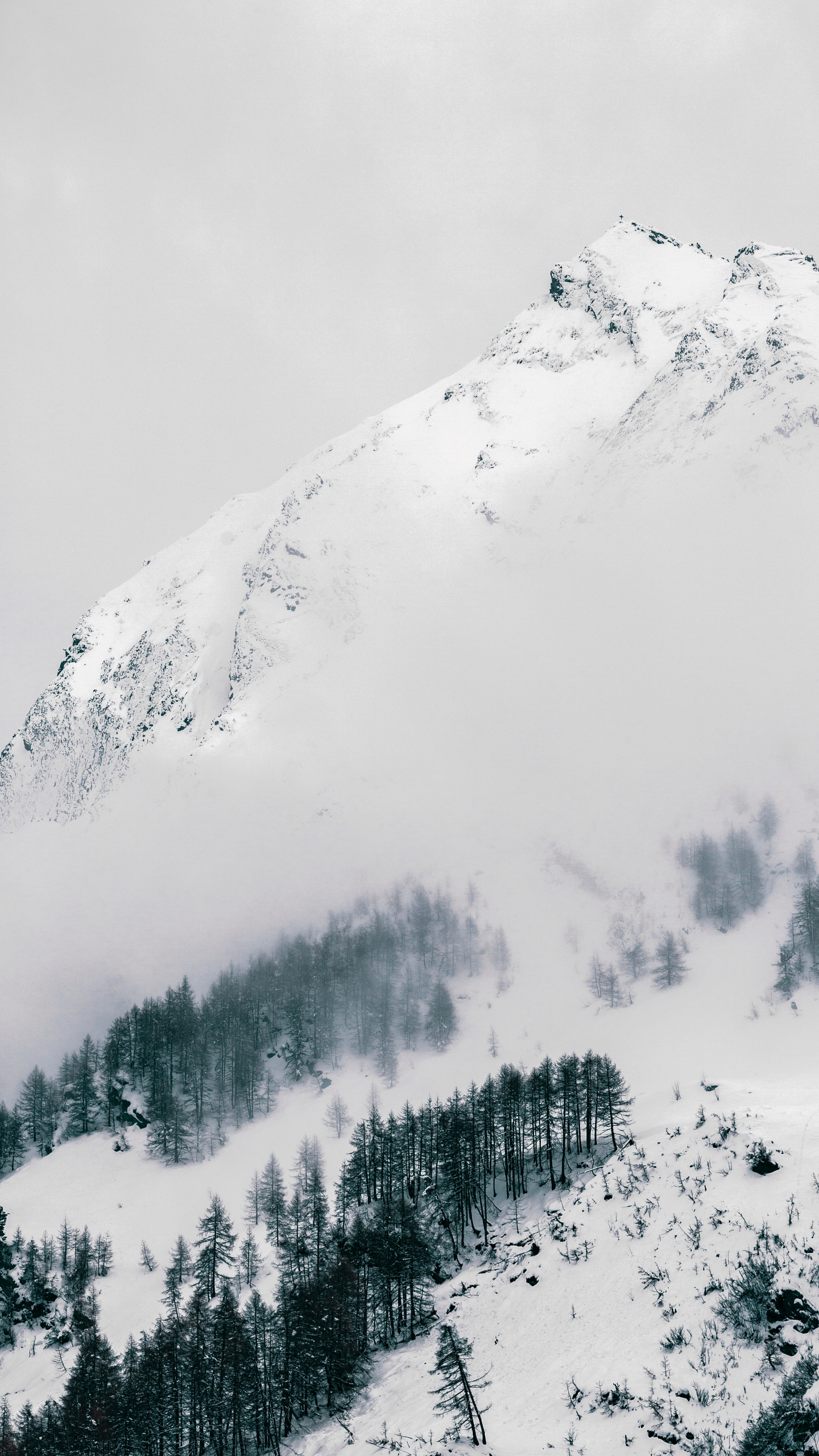 Обои Апартаменты Grogasteiger, горный перевал, зима, пейзажи гор, снег в разрешении 1440x2560